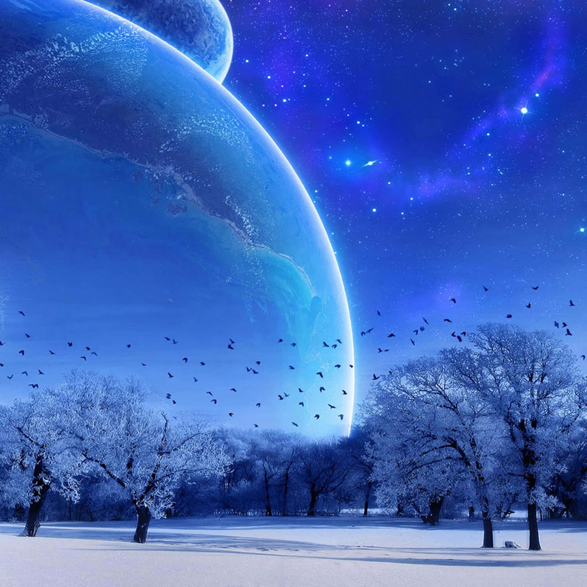 雪地森林，光禿樹木和鳥兒飛翔，巨大藍色星球和星空下。