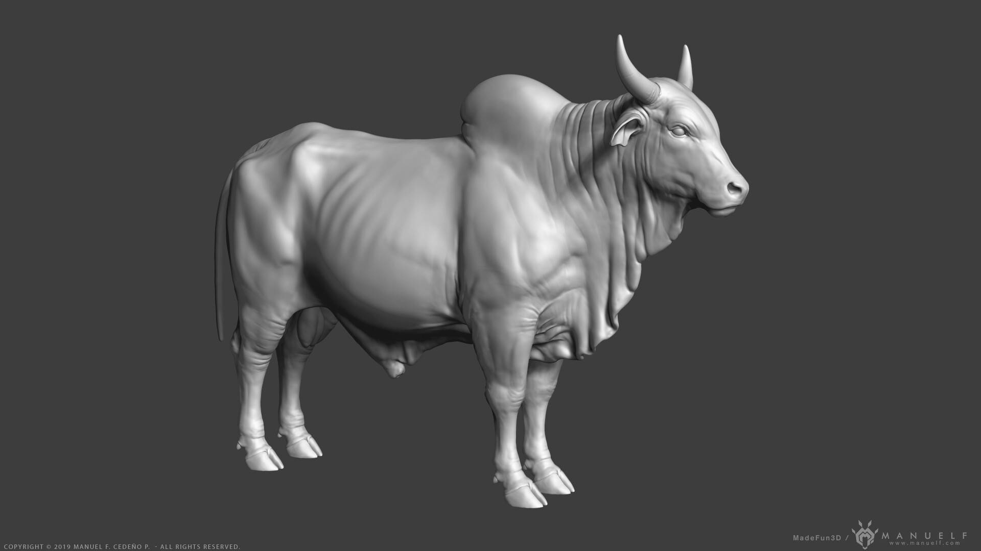 站立的3D澤布牛 壁紙 — 一個詳細的灰階3D渲染，展示一頭肌肉發達的公牛，有突出的角和垂下的頸部皮膚，側面站立。