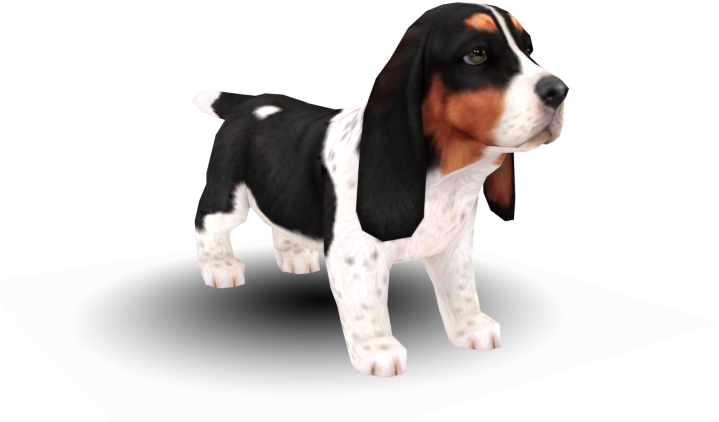 站立的巴賽特獵犬幼犬 壁紙 — 一隻3D渲染的巴吉度獵犬幼犬，毛色為黑色、白色和棕褐色，在純黑色背景前警覺地站立。