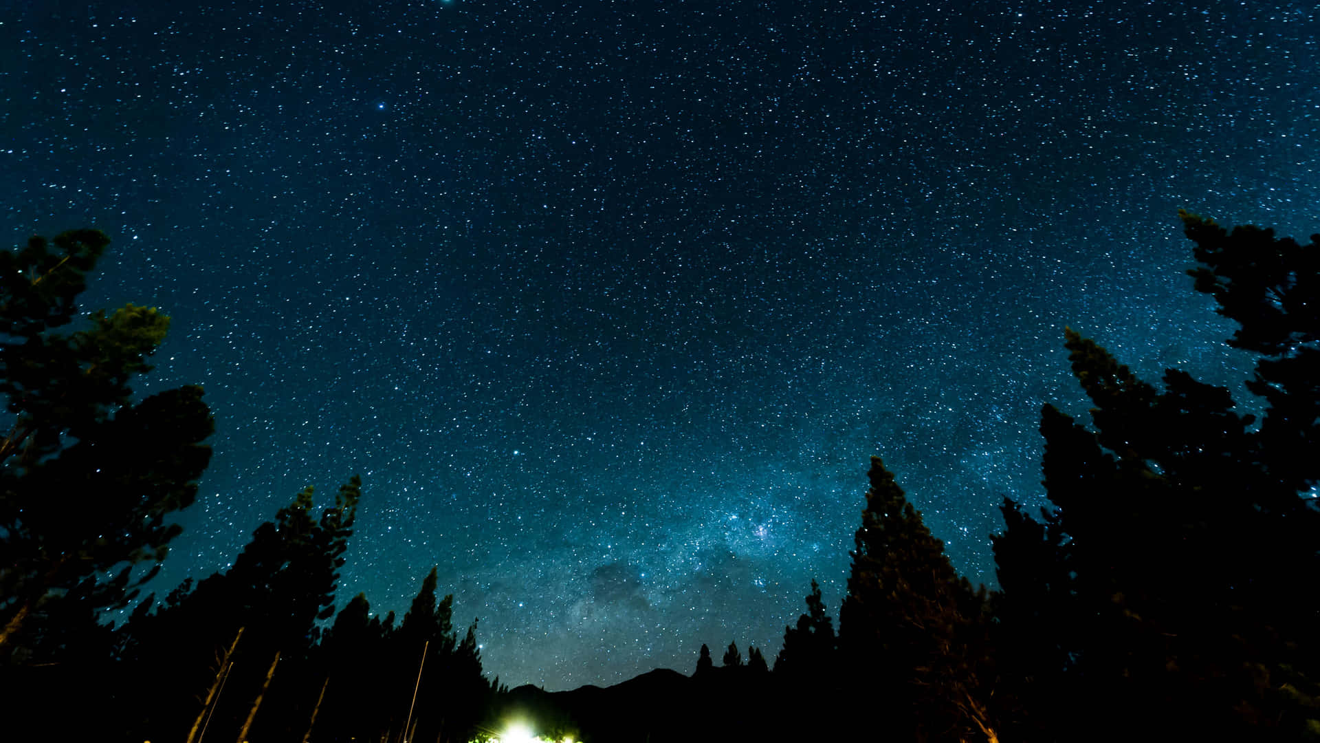 松樹剪影上方的銀河星空