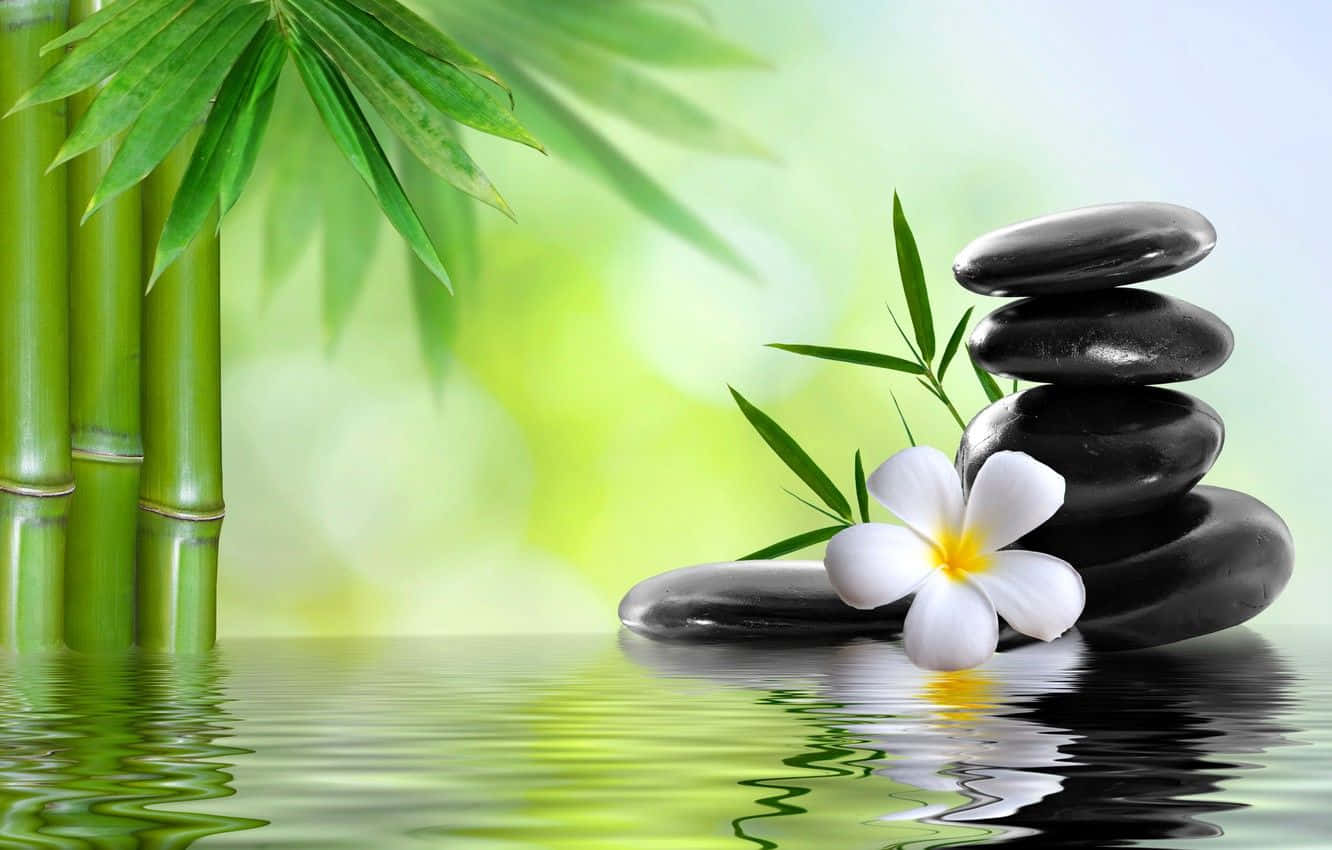 竹筍與黑石的倒影水面水療背景 壁紙 — 堆疊的黑色石頭和白色雞蛋花在平靜的水面上，旁邊是綠色竹莖，在柔和日光下。