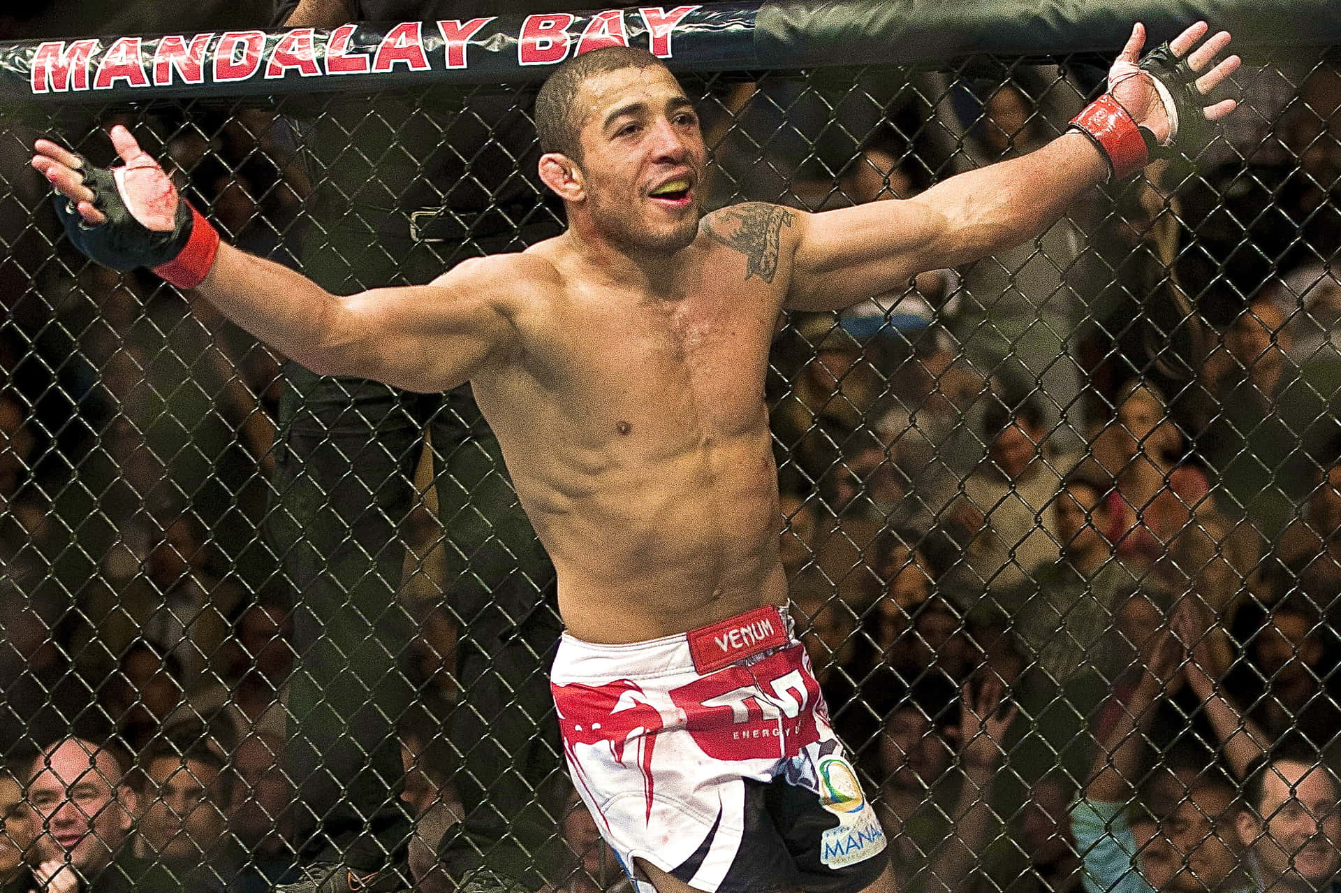 MMA拳手在八角籠內慶祝勝利，背後有歡呼的人群。