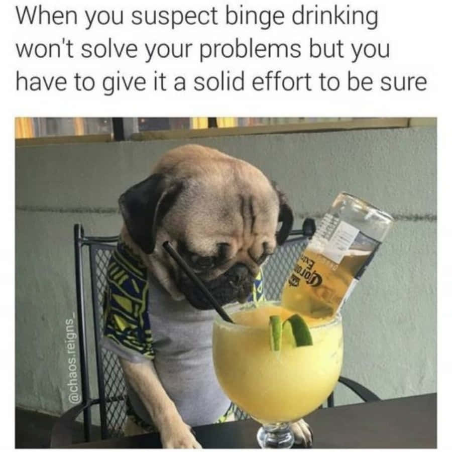 八哥犬穿著圖案襯衫喝瑪格麗特酒，旁邊有龍舌蘭酒瓶。