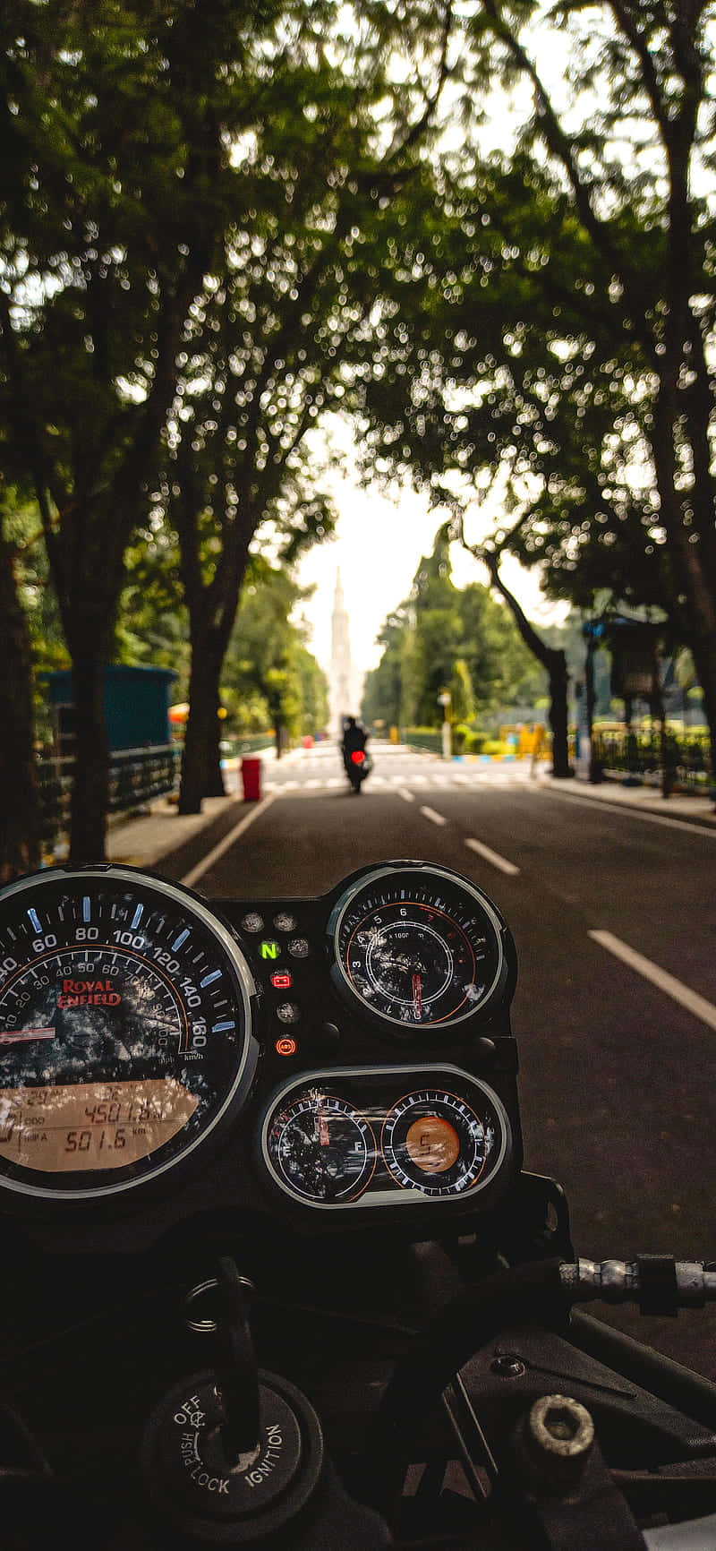 電單車儀表板視角，沿著綠樹成蔭的道路，日落時分