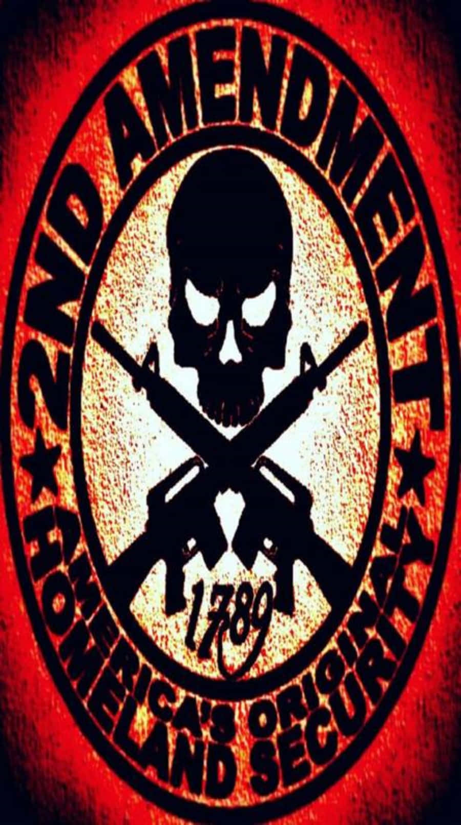 圓形徽章中的骷髏頭與交叉步槍，宣示2nd Amendment和America's Original Homeland Security。