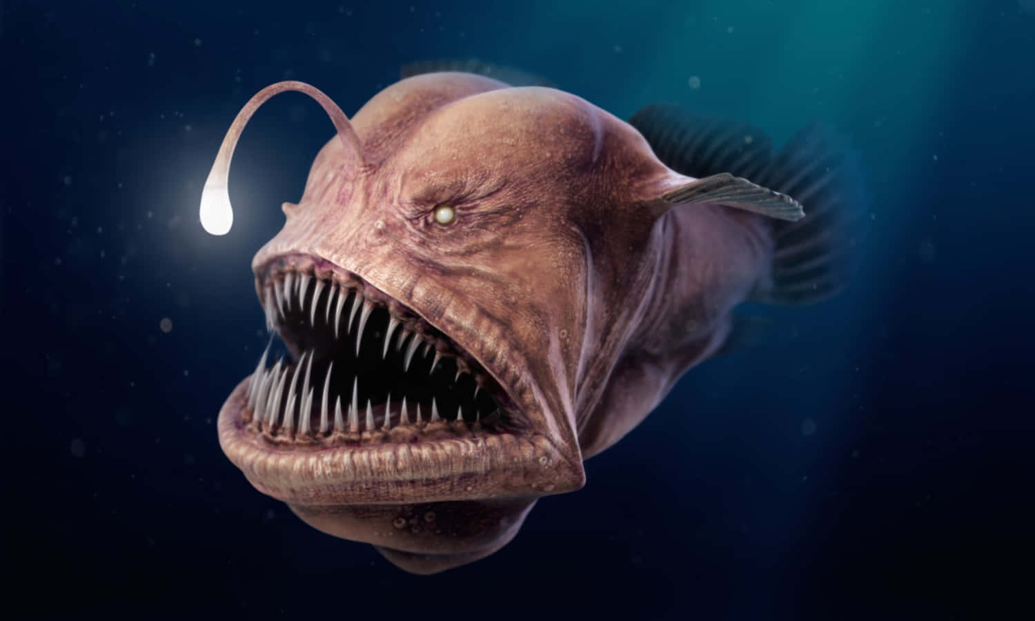 在黑暗海水中帶有發光誘餌和尖銳牙齒的鮟鱇魚。