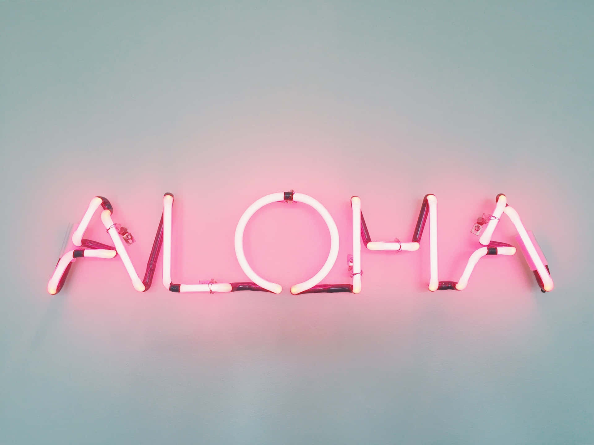 粉紅色霓虹燈牌在青綠色牆上拼出 ALOHA