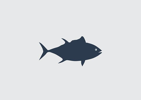 簡化魚形剪影圖案