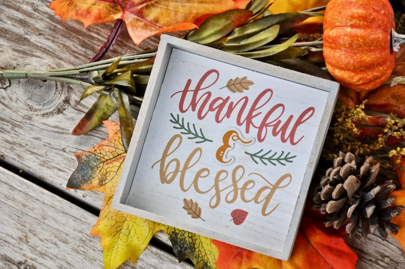 簡單欣賞生命的美好 壁紙 — 一塊木牌上寫著 thankful blessed，周圍環繞著秋葉、松果和南瓜，置於風化木上。