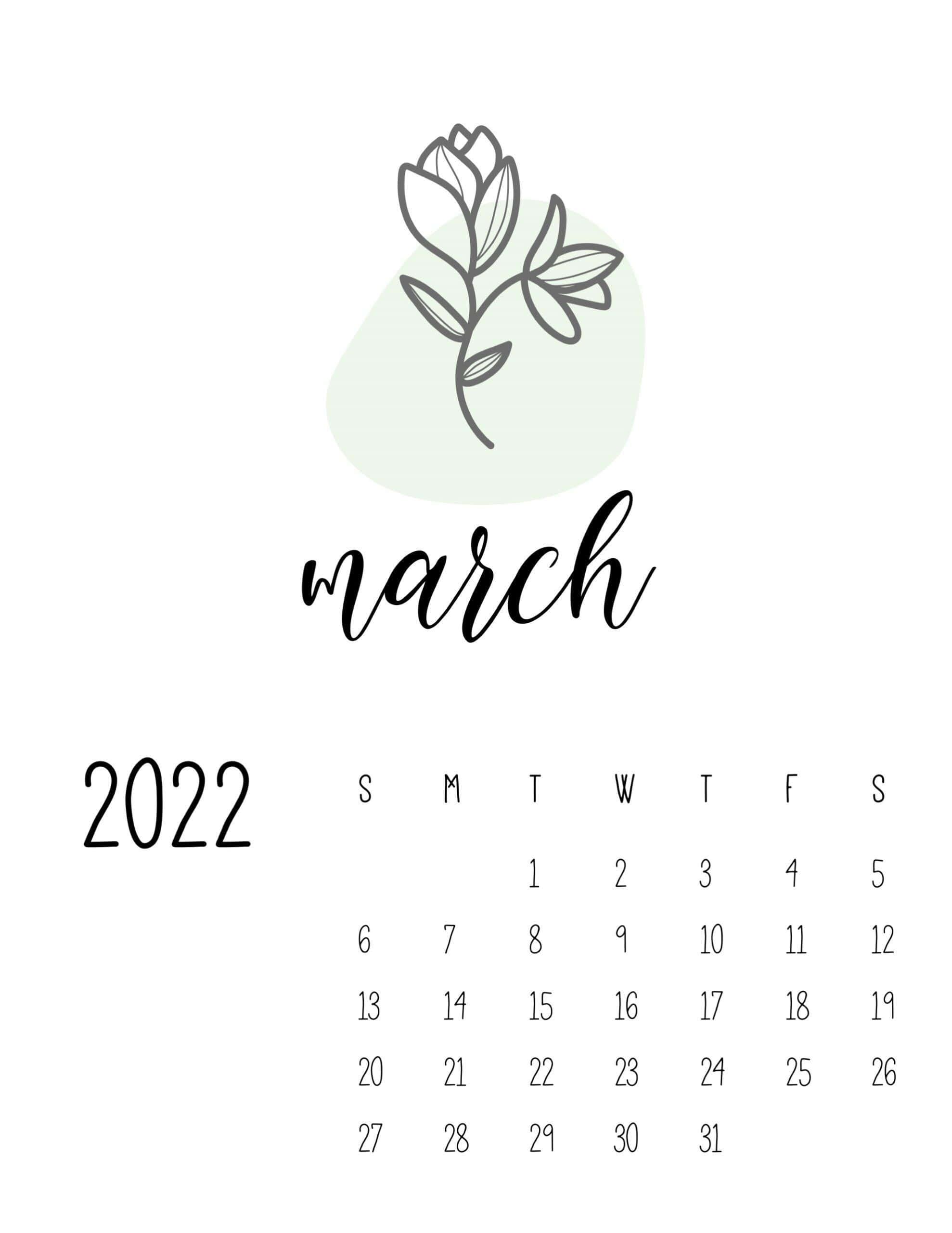 March 桌布 壁紙 — 簡約2022年3月月曆，配有精緻線條藝術花朵和柔和薄荷色背景。