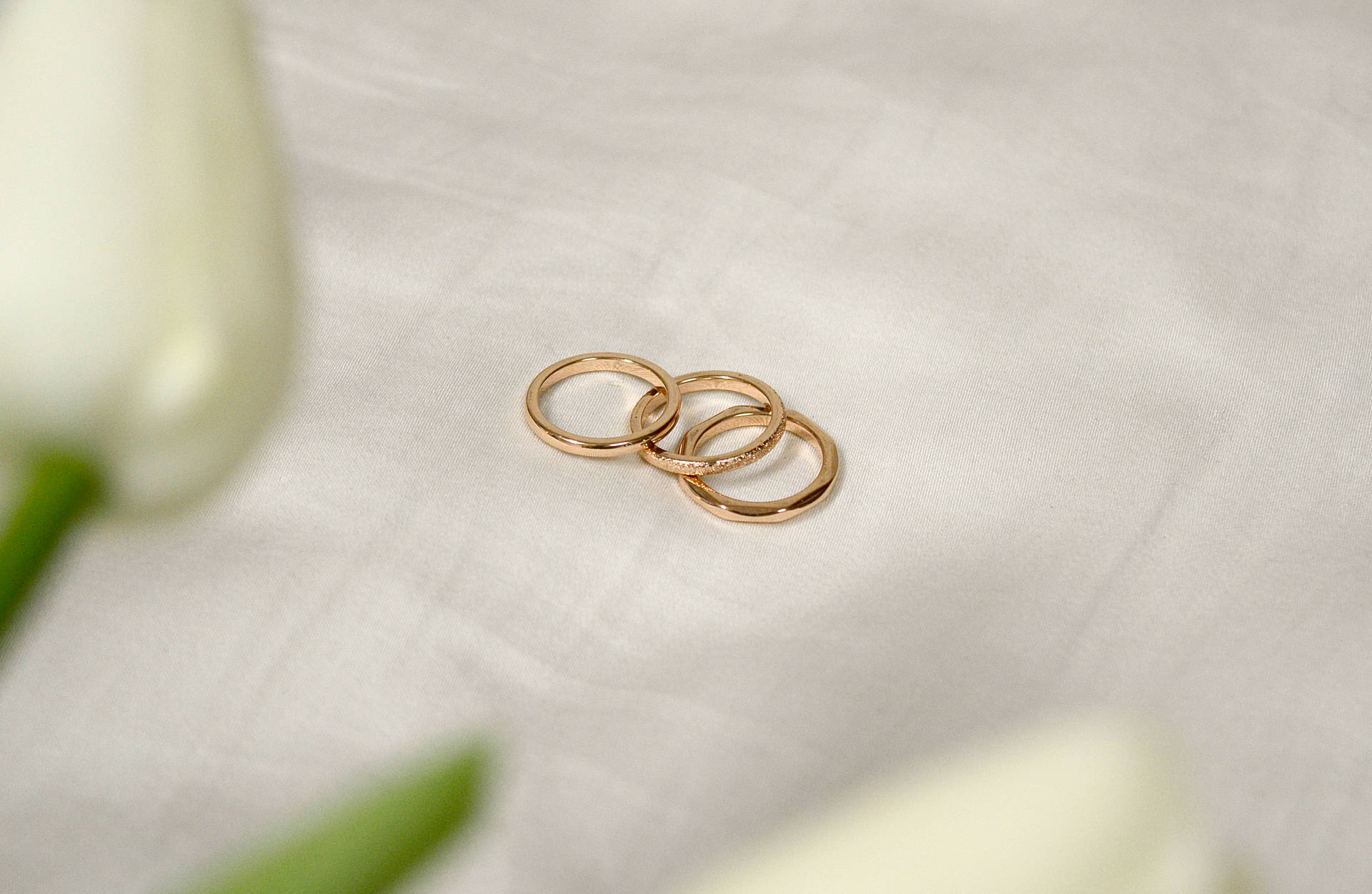 白色布料上的三個金色結婚戒指，背景有白色鬱金香。