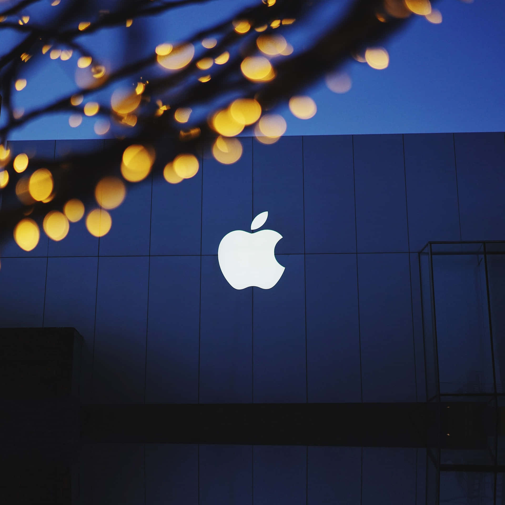 黃昏時建築物上的Apple標誌，帶有樹枝上的金色散景燈光。