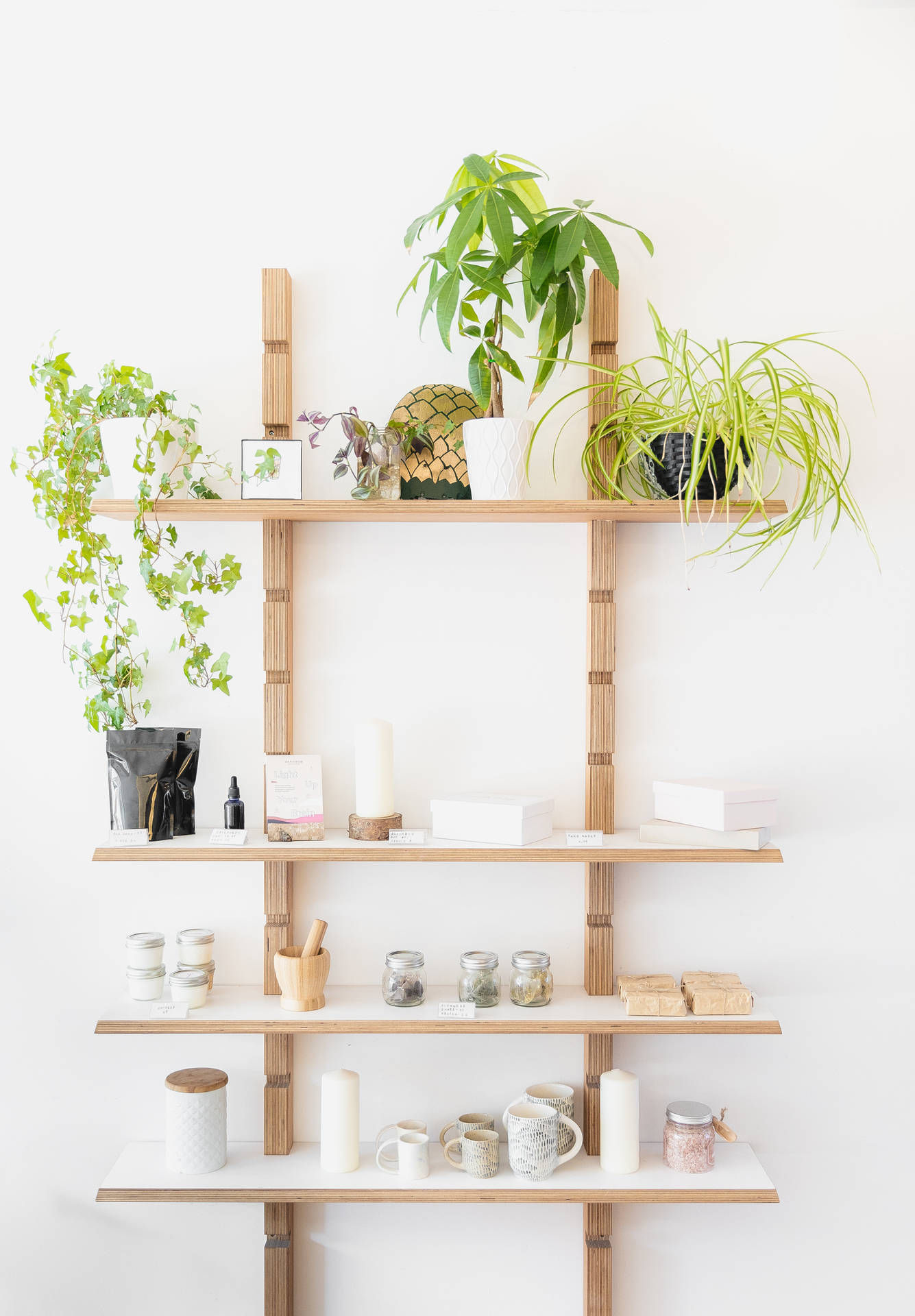 木梯架搭配植物、杯子和蠟燭，以白色牆壁為背景。