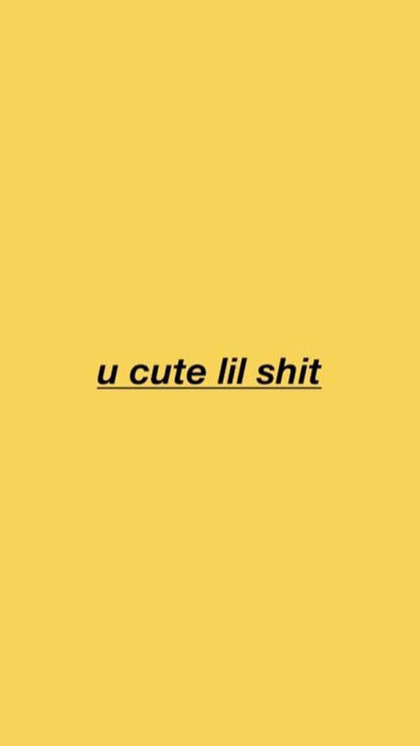 黃色背景，居中帶底線的黑色文字寫著「u cute lil shit」