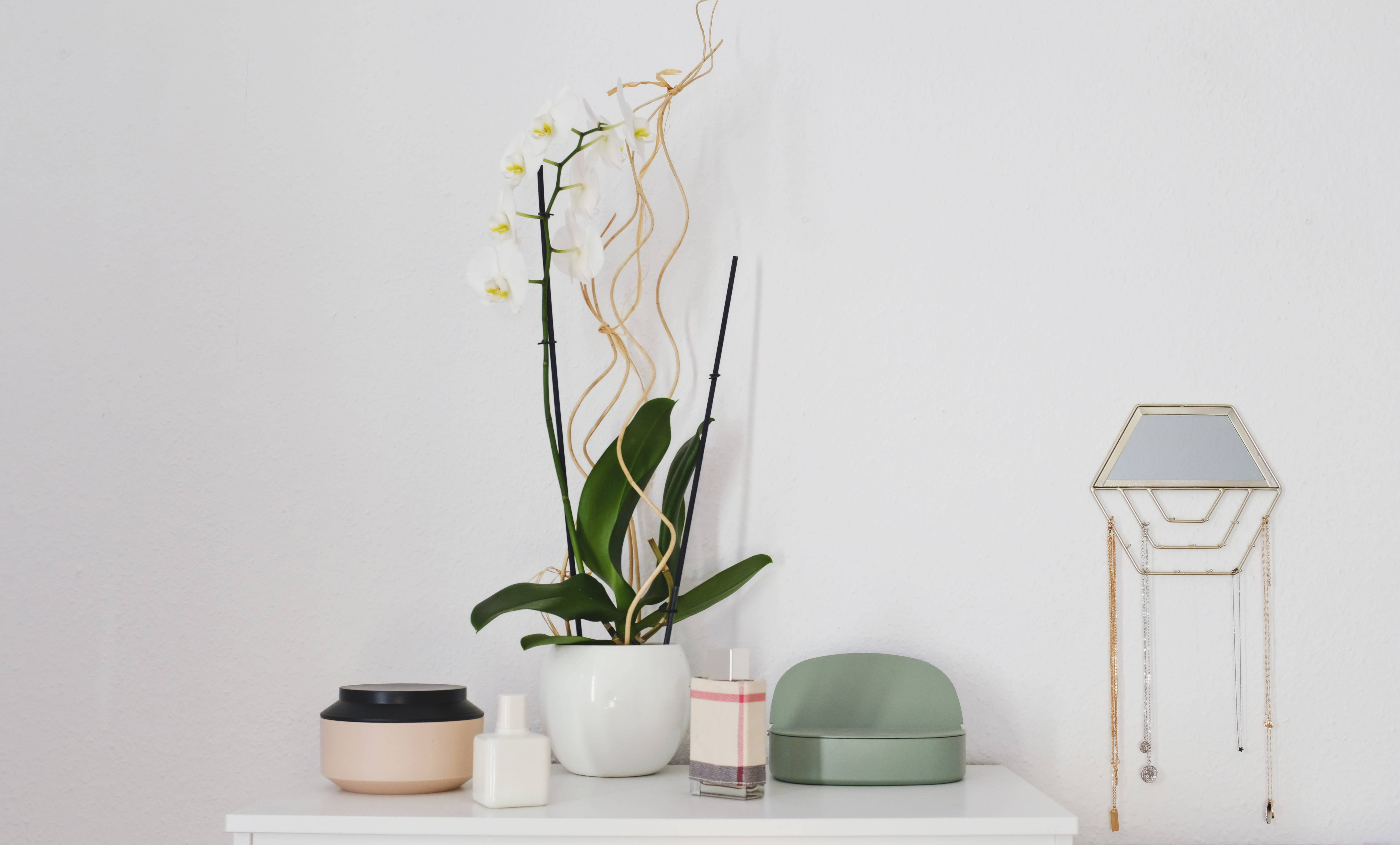 Plant Aesthetic 桌布 壁紙 — 簡約白色層架展示盆栽蘭花、柔和色調容器及幾何鏡子，背景為素牆。