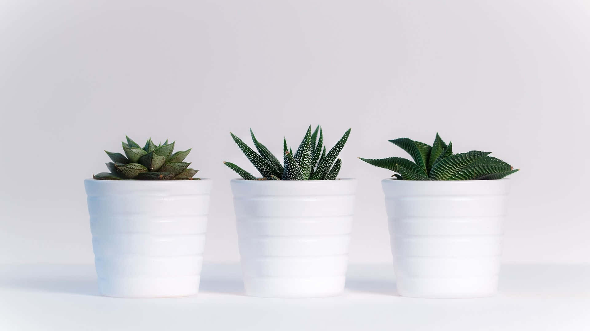 簡約白色背景 壁紙