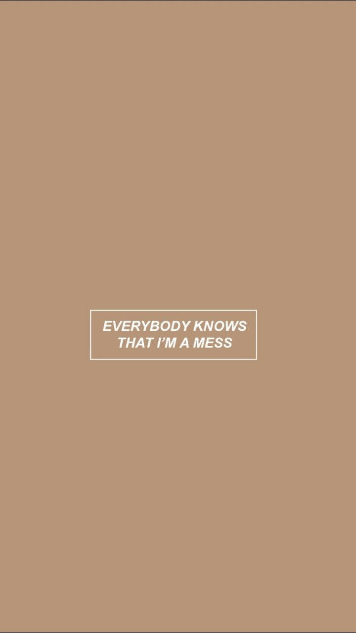  壁紙 — 簡約米色背景，中央有一個白色文字框，寫著 everybody knows that i'm a mess。
