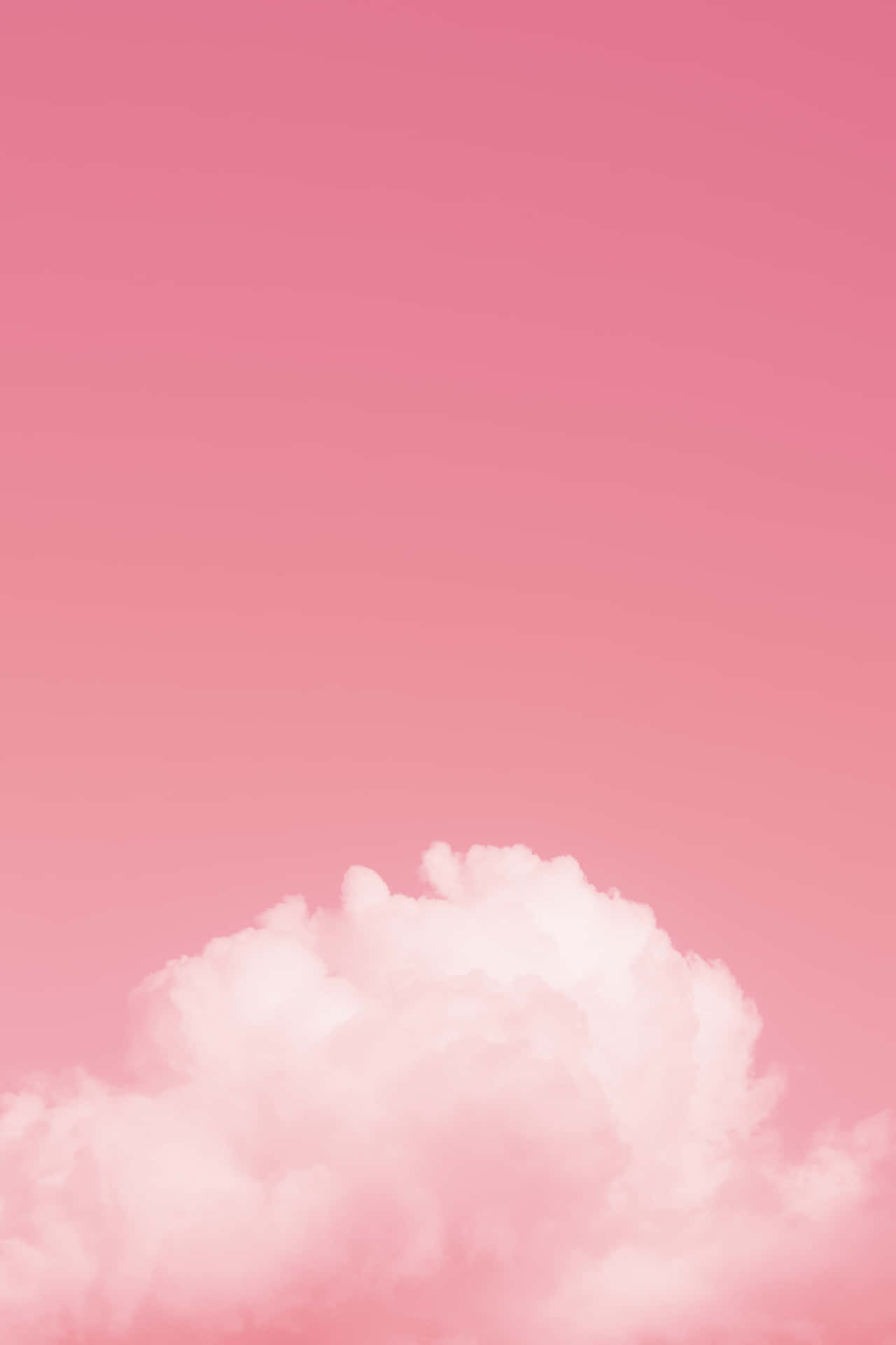 簡約粉紅雲朵 壁紙 — 一朵蓬鬆的白雲漂浮在漸變粉紅色的天空中，構成極簡風格。
