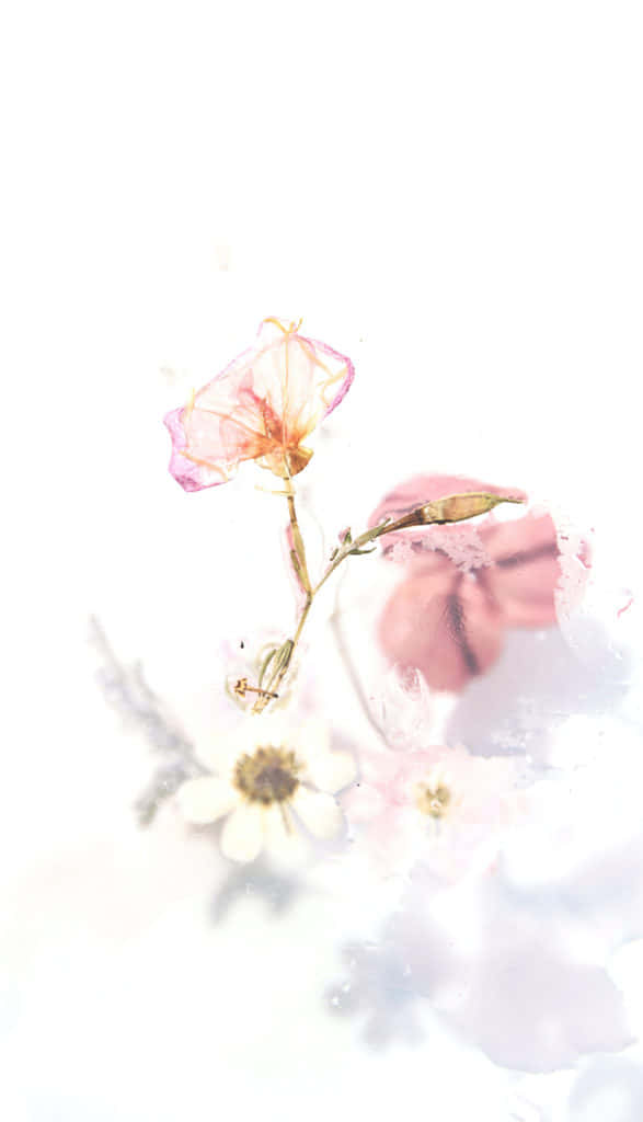 簡約美學背景