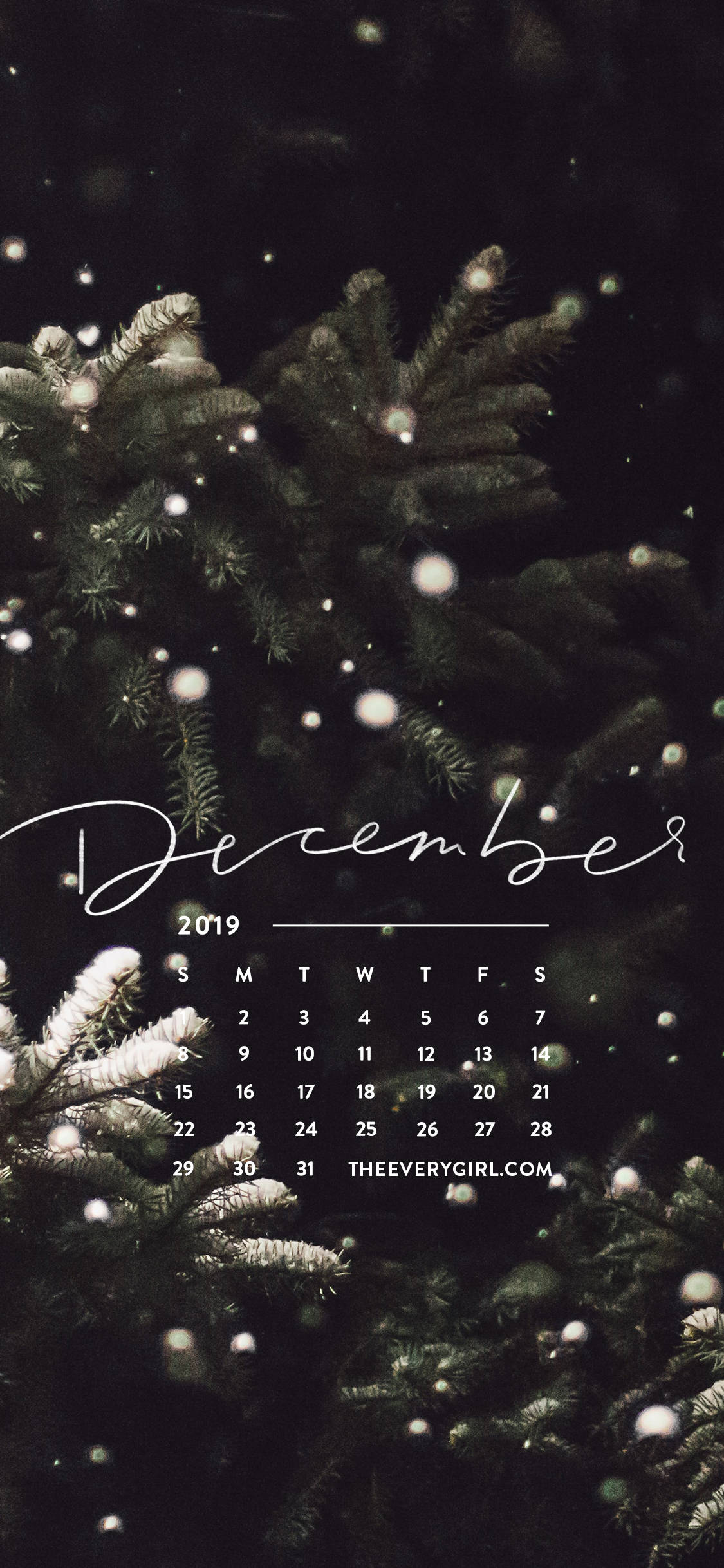 簡約聖誕十二月 iPhone 壁紙 — 一個黑暗的冬季場景，雪花覆蓋的松樹枝條框住了一個優雅字體的2019年12月日曆。