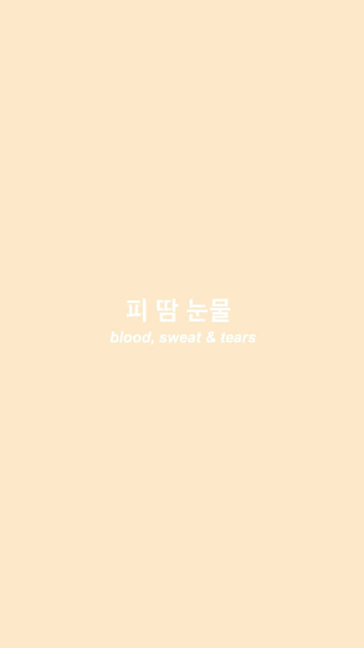 Aesthetic Korean 桌布 壁紙 — 簡約蜜桃色背景，中央有韓文文字及英文翻譯，內容為血汗淚。