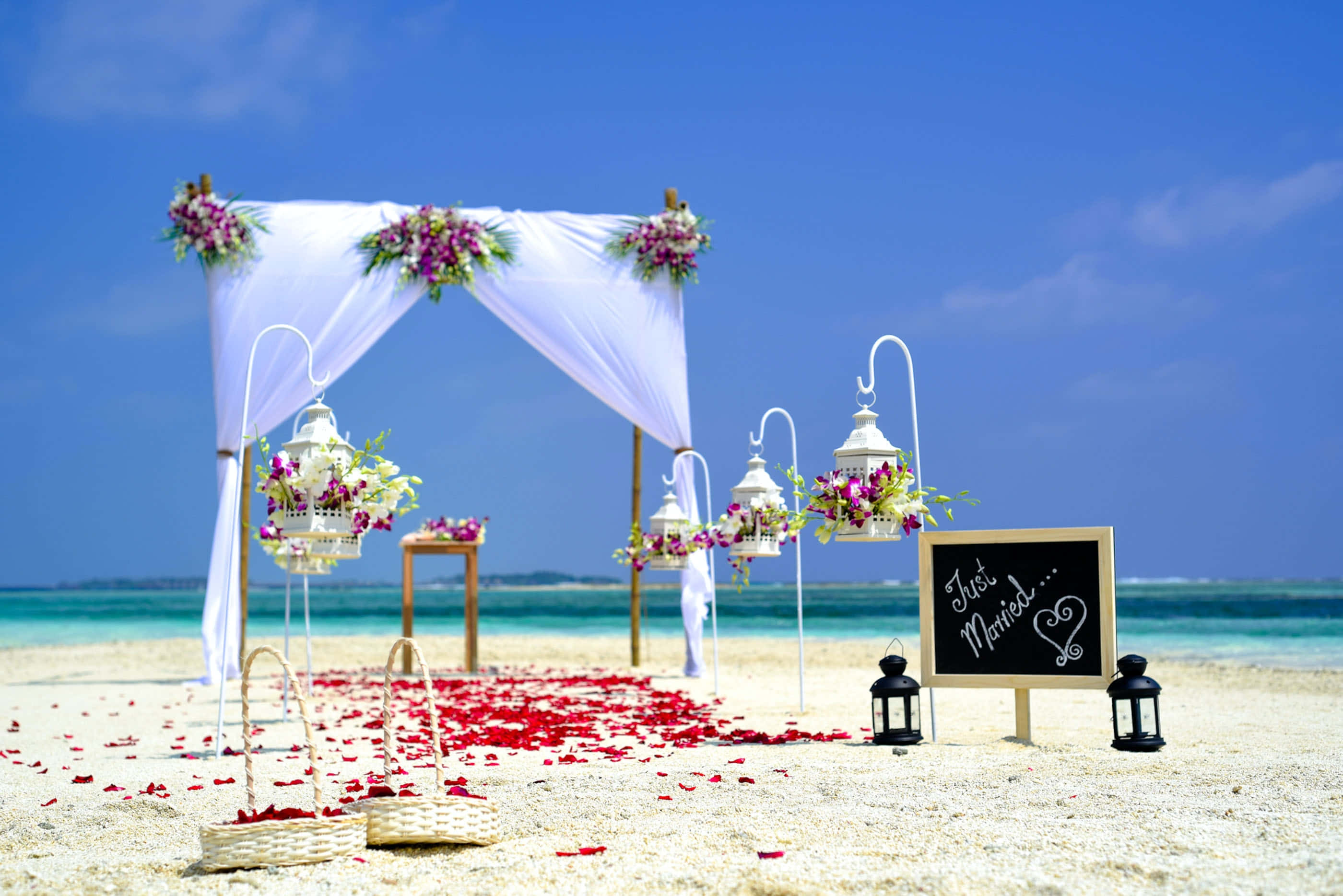 簡約陽光海灘婚禮背景 壁紙 — 一個海灘婚禮拱門，裝飾著白色帷幔和紫色花朵，矗立在撒有紅色玫瑰花瓣的白色沙灘上，背景是清澈的藍天。