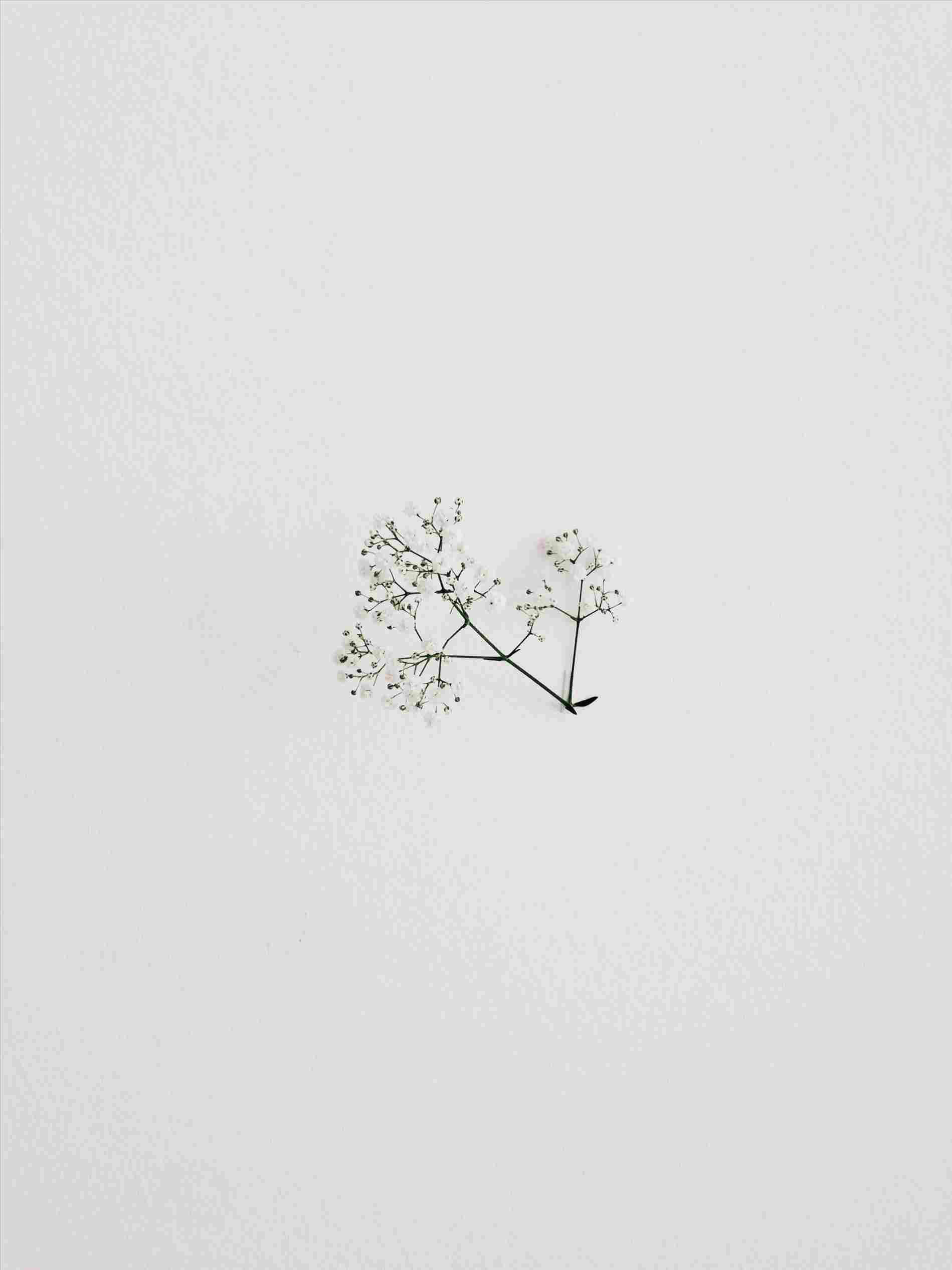 簡約風格小花 壁紙 — 一枝精緻的小白花枝條，以極簡構圖放置在帶紋理的淺灰色表面上。