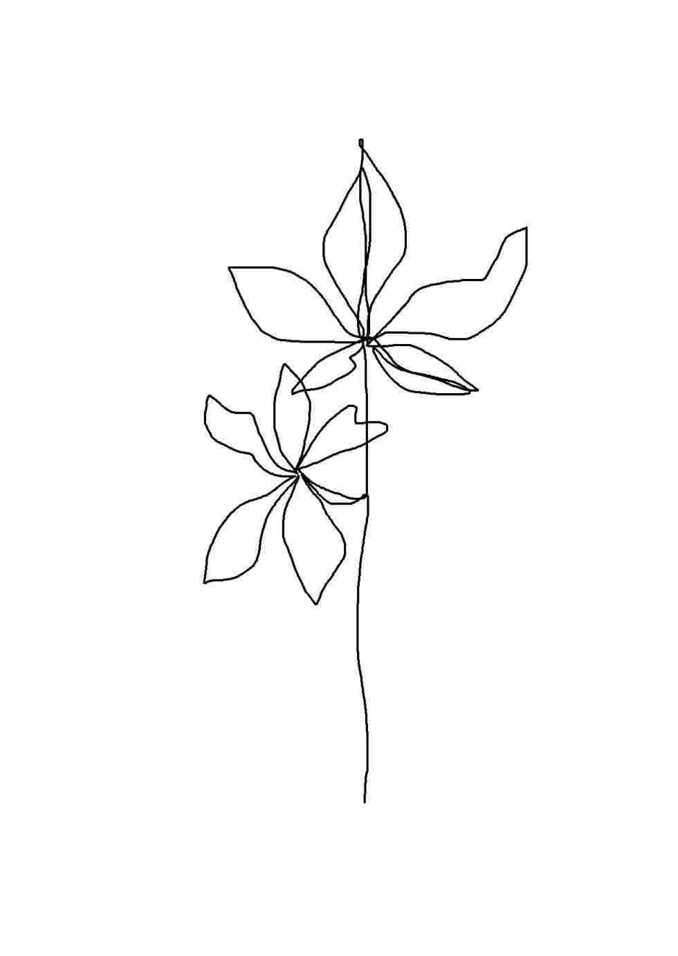簡約風格花朵鋼筆藝術 壁紙 — 簡約黑色線條繪畫，在純白背景上畫有兩朵風格化的花朵，共用一根莖。