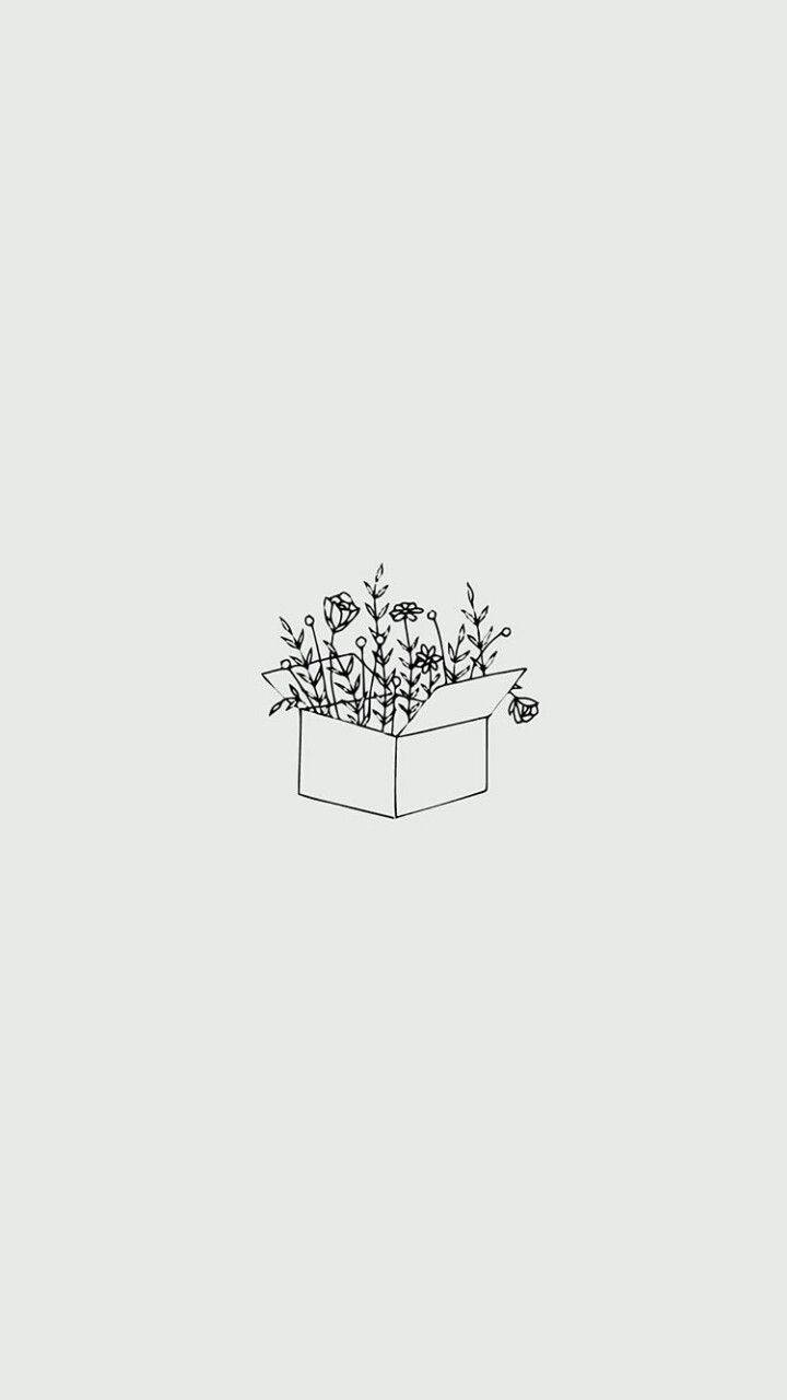 簡約風格花盒鋼筆繪畫 壁紙 — 在淺灰色背景上，從打開的紙板箱中迸發出的野花極簡線條畫。