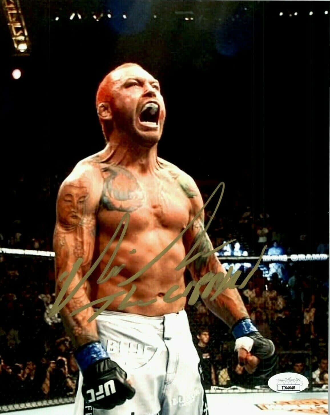 MMA戰士在八角籠中與歡呼的人群慶祝勝利。