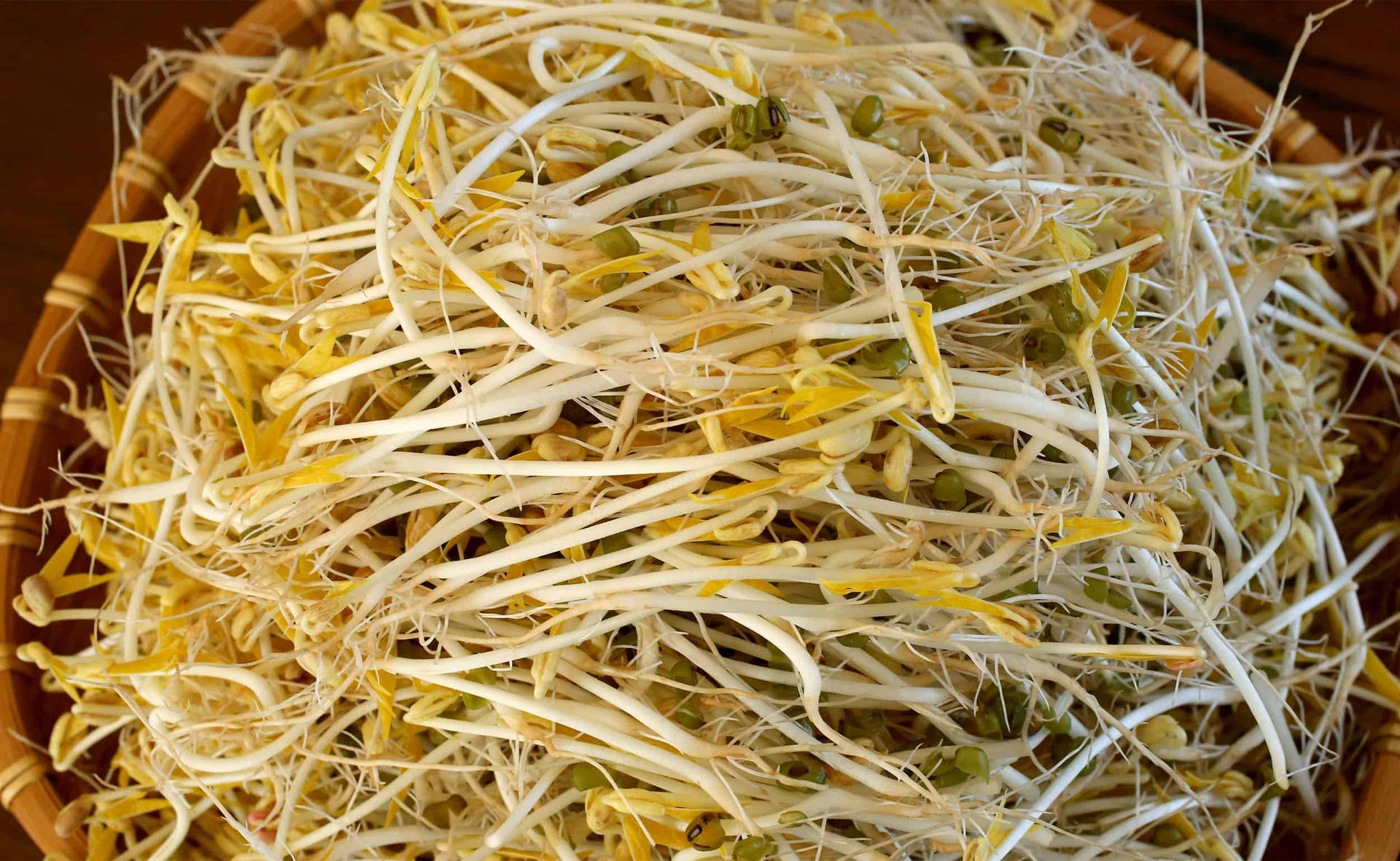 竹籃中的新鮮芽菜，準備好烹調。