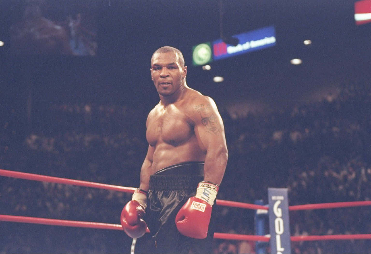 mike tyson 桌布 壁紙 — 米克泰臣在職業比賽中，於明亮燈光下以專注的表情站在拳擊台上。