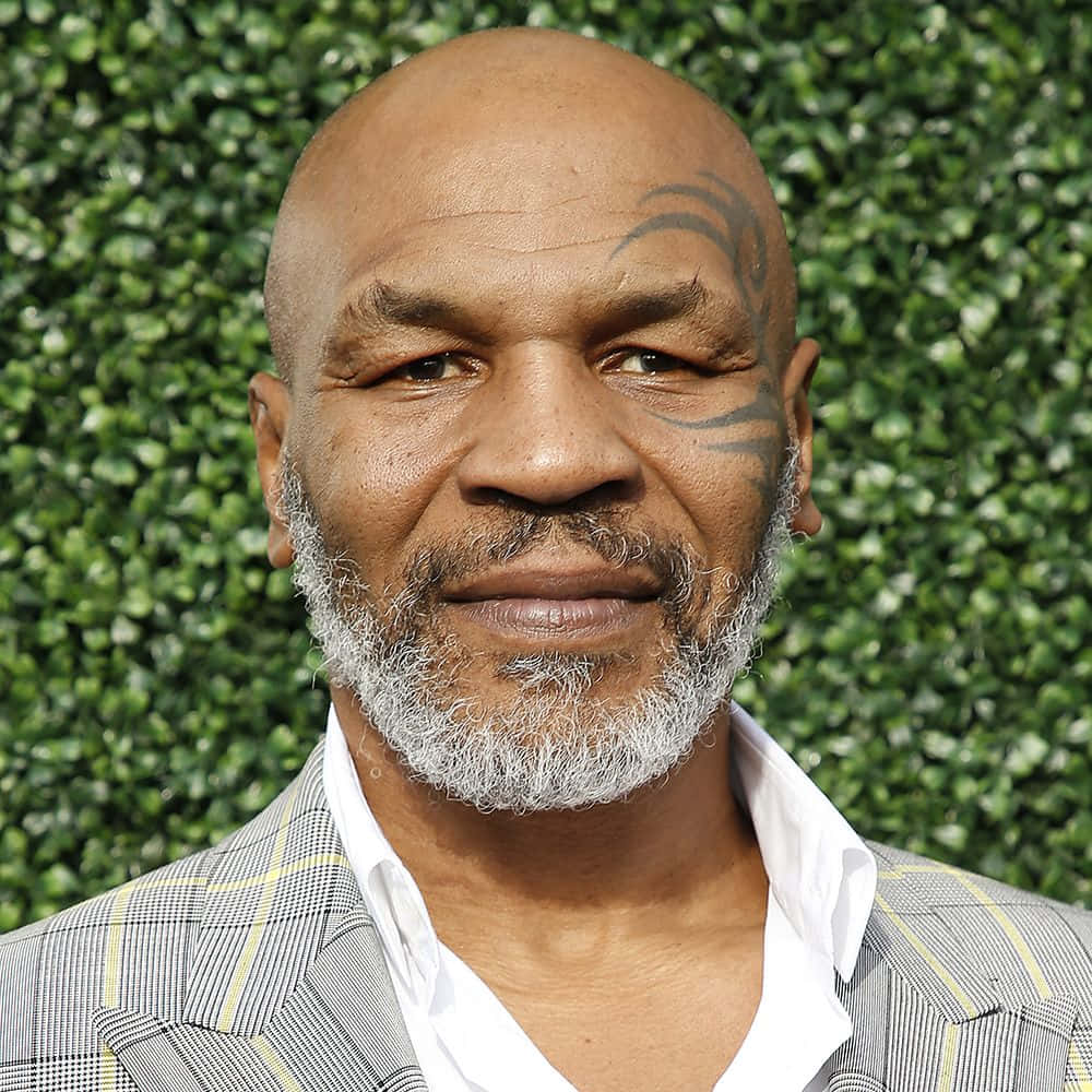 mike tyson 桌布 壁紙 — 米奇泰臣喺茂密嘅綠色籬笆背景下，帶住佢標誌性嘅面部紋身平靜咁微笑。