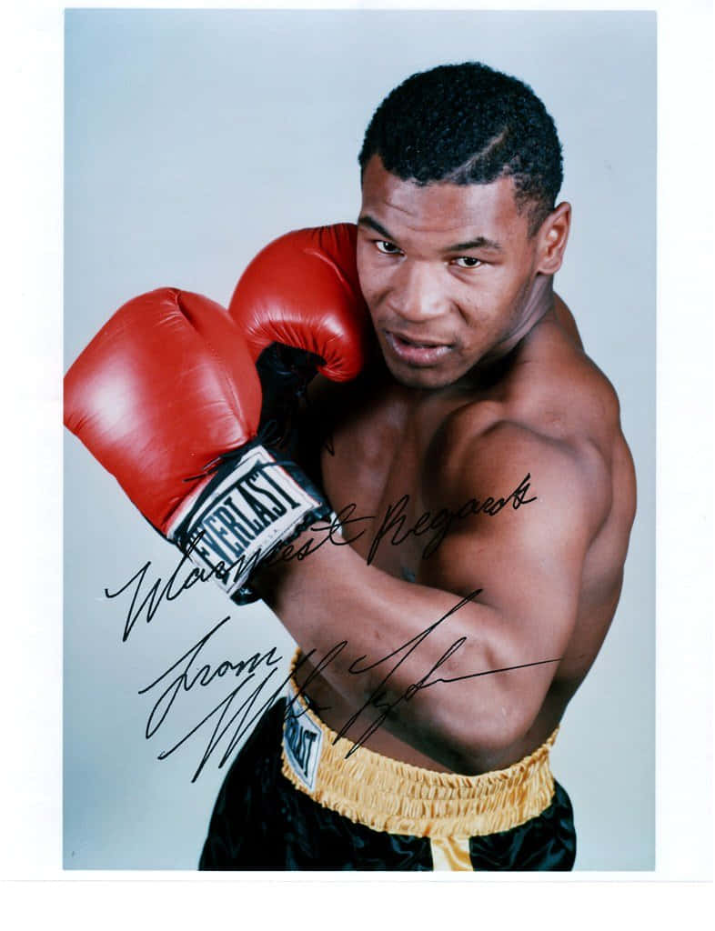 mike tyson 桌布 壁紙 — 米奇泰臣戴上紅色Everlast拳套及金色邊短褲，在純色影樓背景下凝視鏡頭。