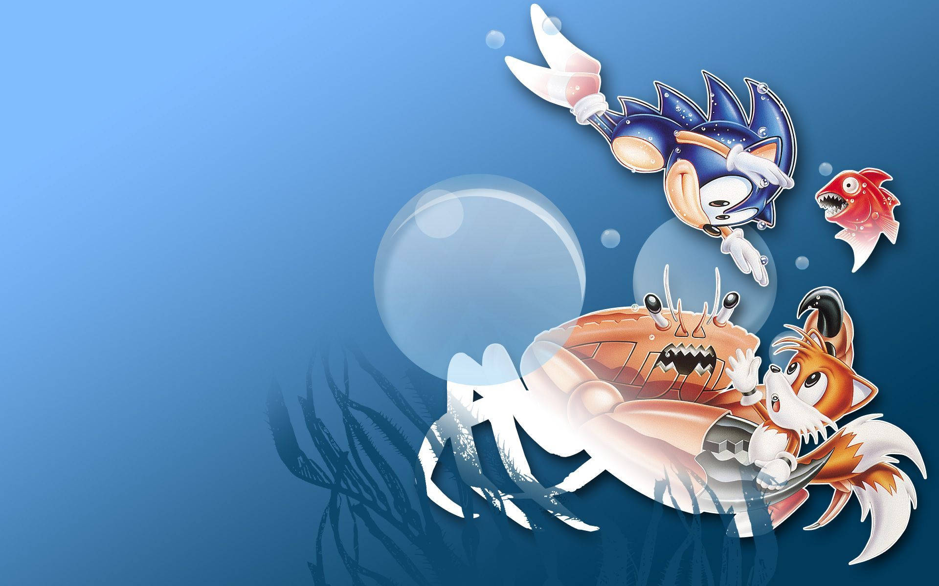 Sonic 和 Tails 在藍色海洋場景中與螃蟹和魚一起在水下。