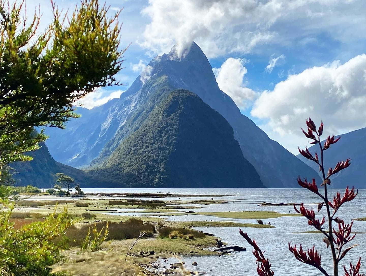 一座高聳的山峰俯瞰著寧靜的峽灣，前景是鬱鬱蔥蔥的綠色植物和紅色的花朵。