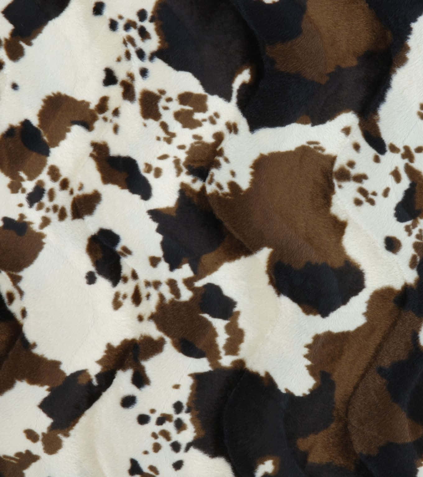 棕色、黑色和白色乳牛印花圖案的柔軟毛絨毯子。