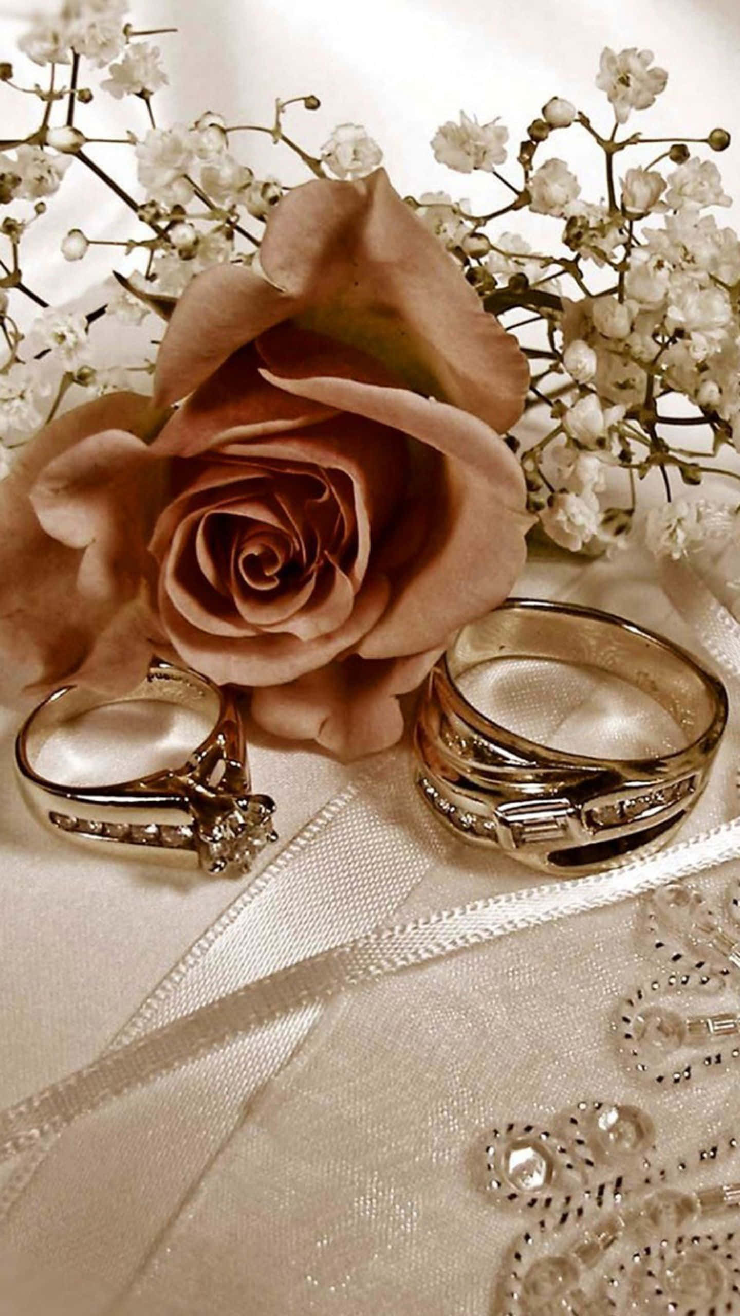 米色玫瑰與婚戒 壁紙 — 一朵柔軟的蜜桃玫瑰和兩枚金色結婚戒指放在精緻的白色蕾絲布料上，配以滿天星花朵。