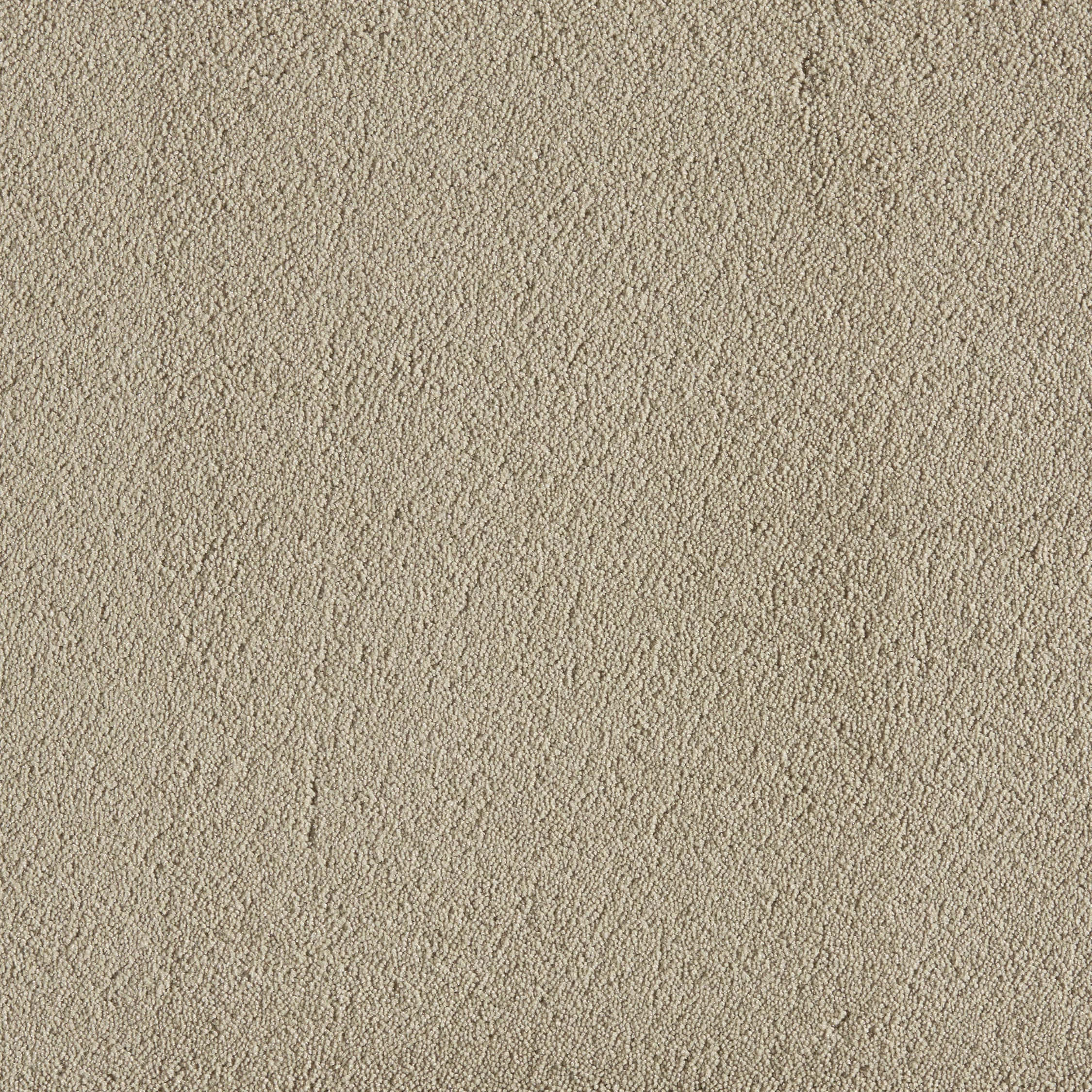 Carpet Texture 桌布 壁紙 — 米色紋理地毯的特寫，具有均勻的環形纖維和微妙的色調變化。
