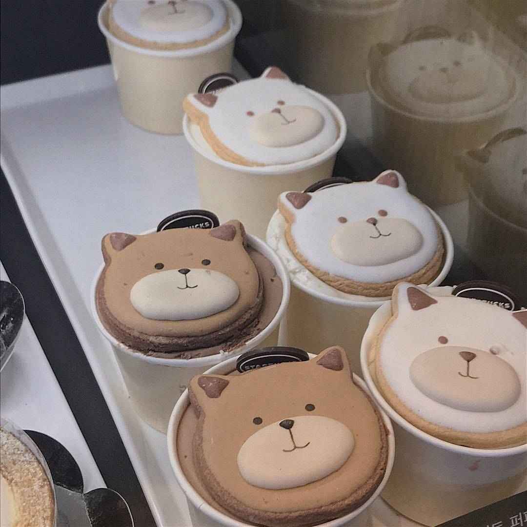 托盤上杯子裡的可愛熊臉馬卡龍