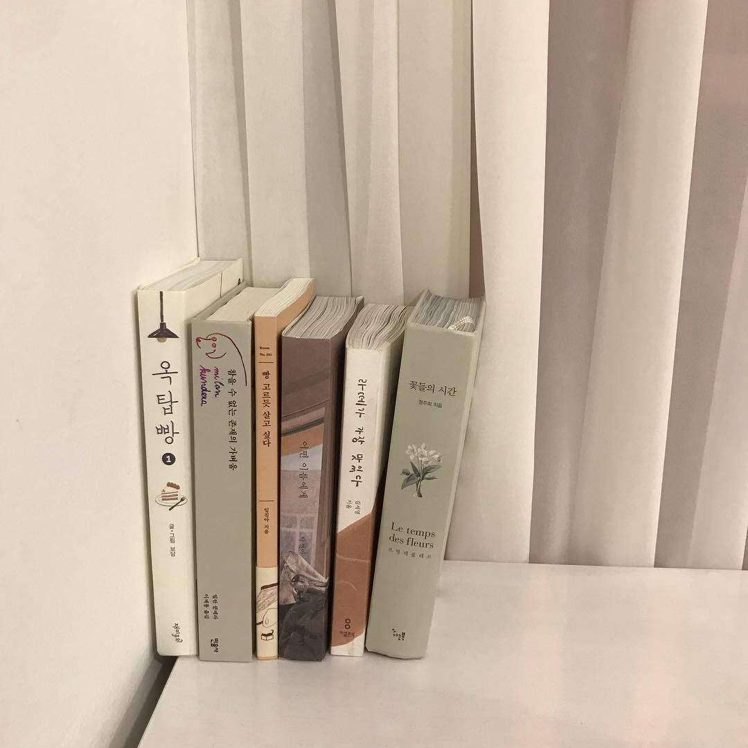 五本帶有韓文和法文書名的書籍，排列在窗簾旁的白色書架上。