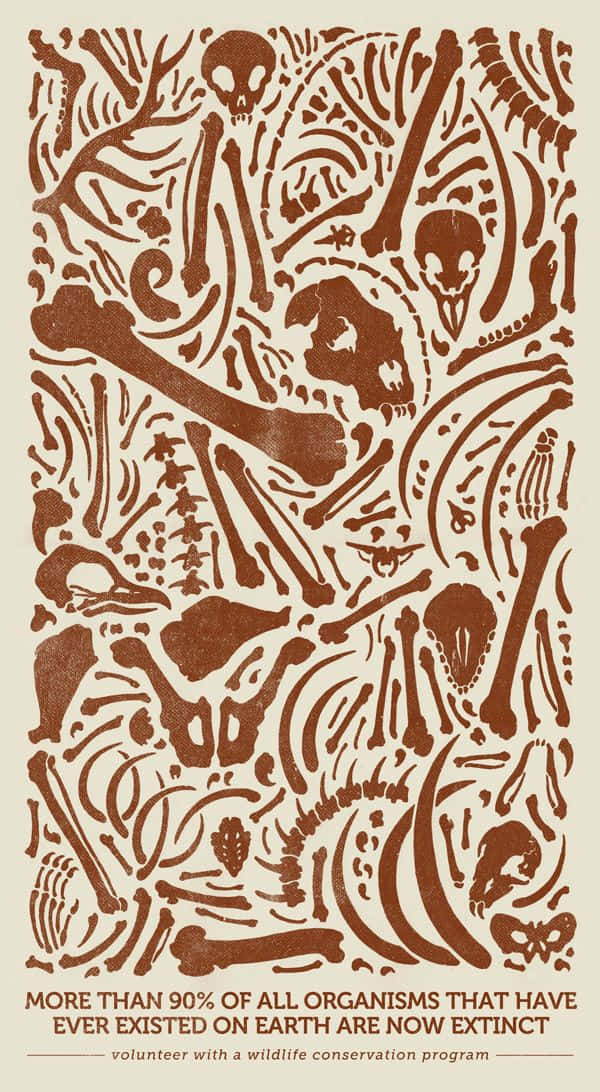 Wildlife Conservation 桌布 壁紙 — 米色背景上密集的棕色插圖，描繪各種動物骨頭和頭骨，並附有滅絕文字。