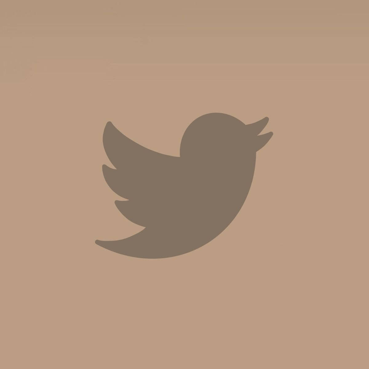 米色與棕色 Twitter 標誌 壁紙 — 一個極簡的灰色Twitter鳥標誌，居中於純米色背景上。