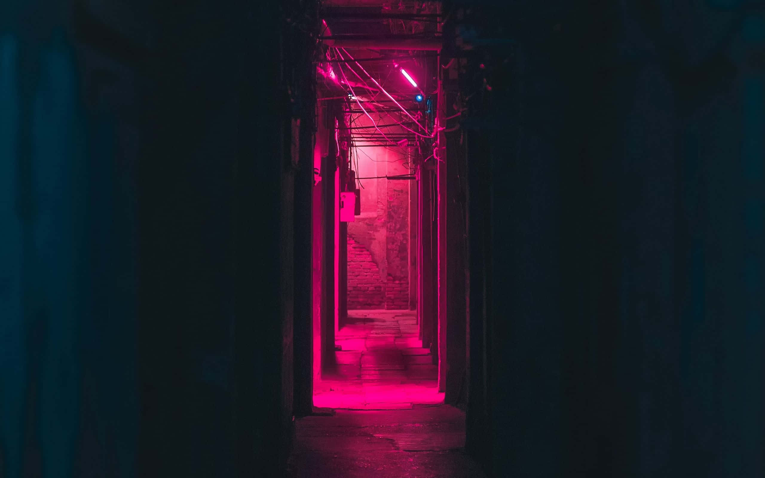 粉、黑與金色的迷人組合 壁紙 — 一條狹窄的小巷，沐浴在強烈的粉紅色霓虹燈光中，在濕漉漉的石階上投下長長的陰影。