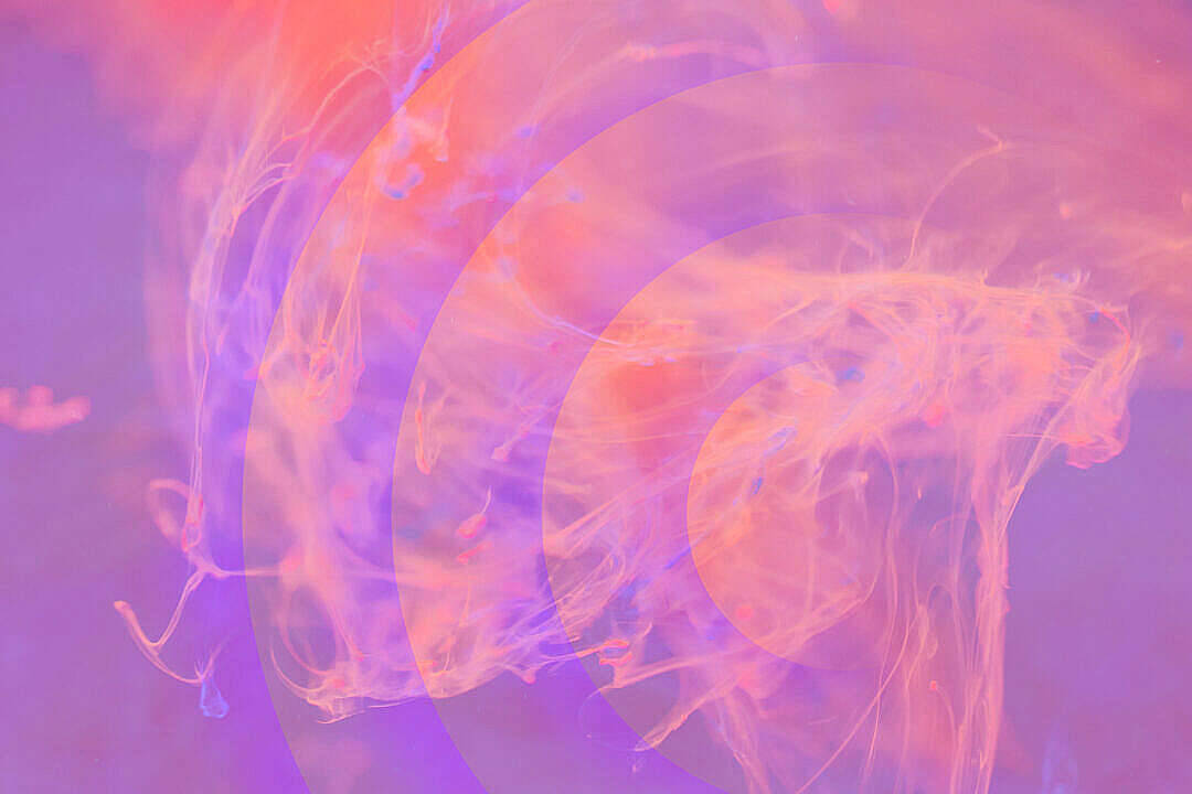 抽象流體藝術，在漸變背景上呈現旋轉的粉紅色和紫色墨水。