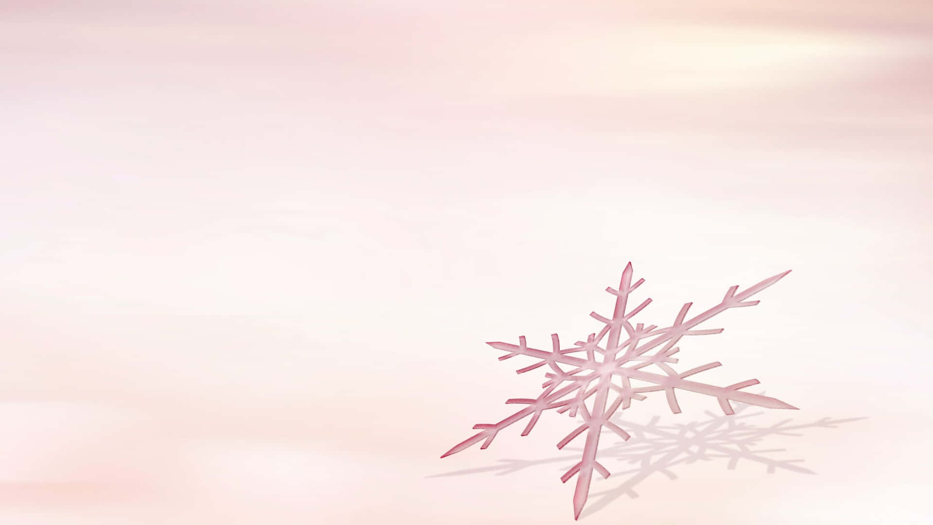 一朵粉紅色雪花在柔和的漸變背景上帶有陰影。