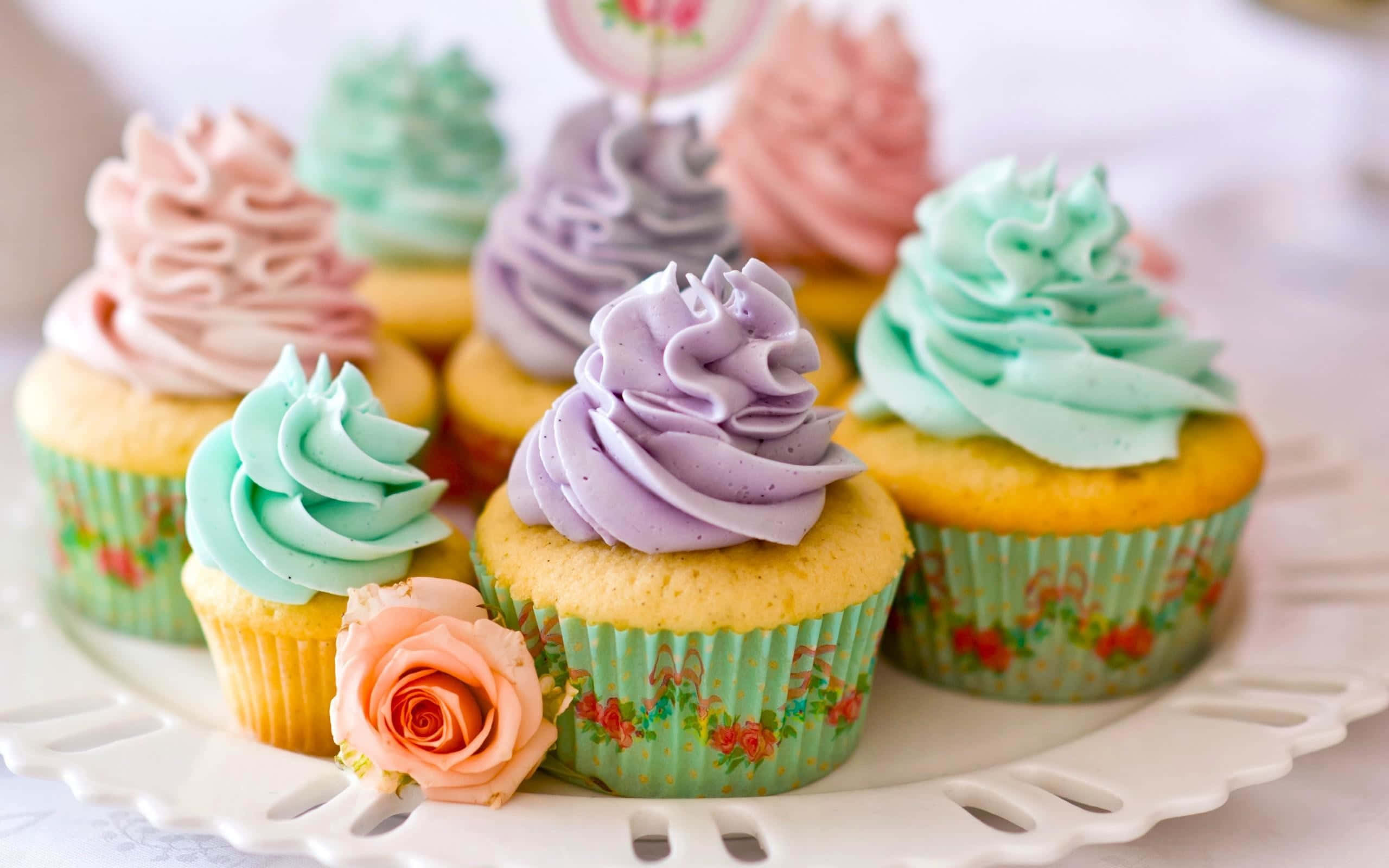 Cute Cupcake 桌布 壁紙 — 粉彩色紙杯蛋糕，帶有漩渦狀糖霜和花卉圖案襯紙，放在白色碟子上，配以蜜桃玫瑰。