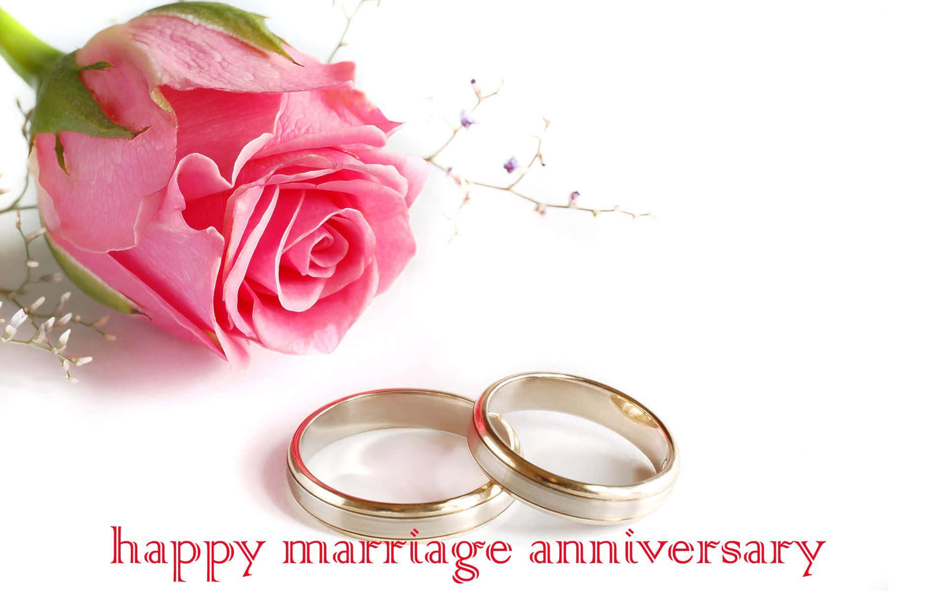 兩枚金色結婚戒指和一朵粉紅玫瑰，用於結婚週年慶祝。