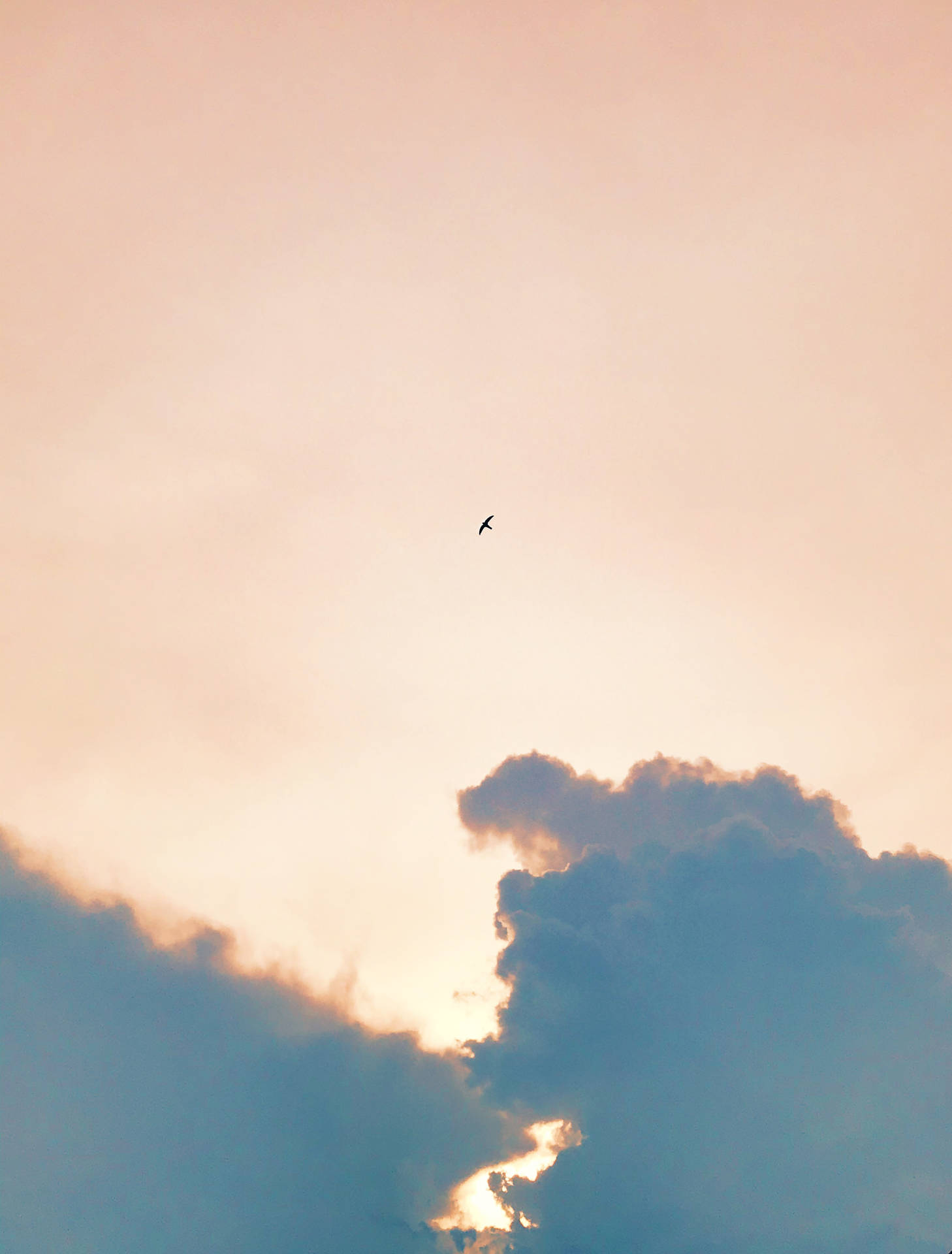 一隻鳥在色彩繽紛的暮色天空中飛翔，雲朵發光。