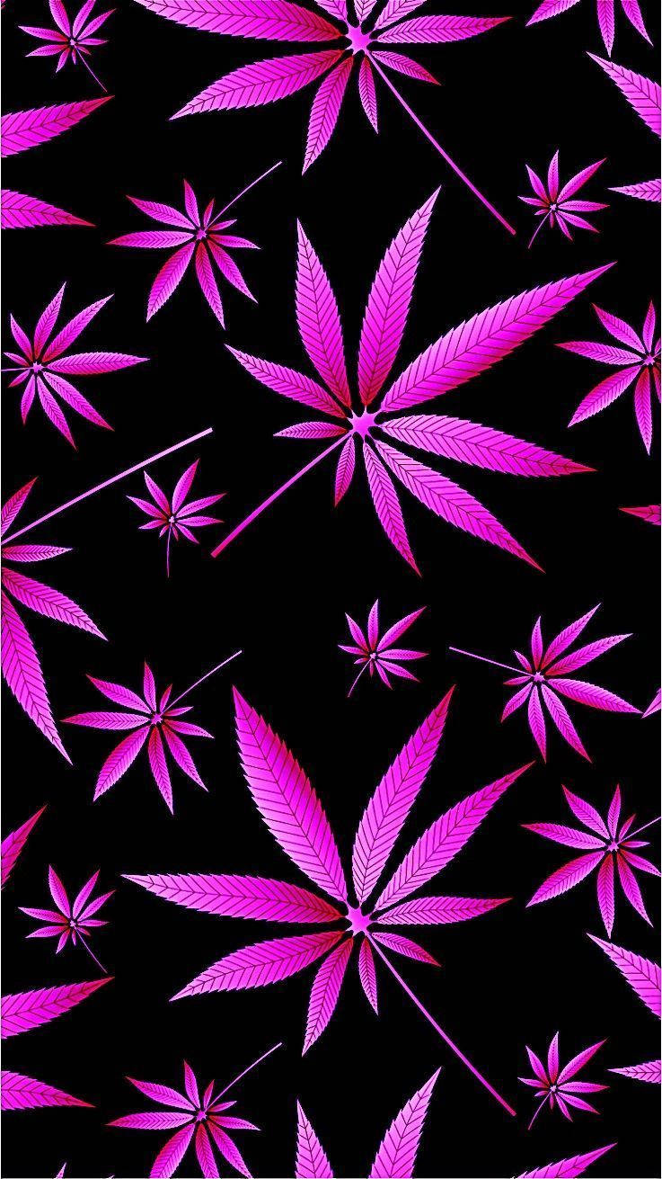黑色背景上的粉紅色大麻葉數位圖案